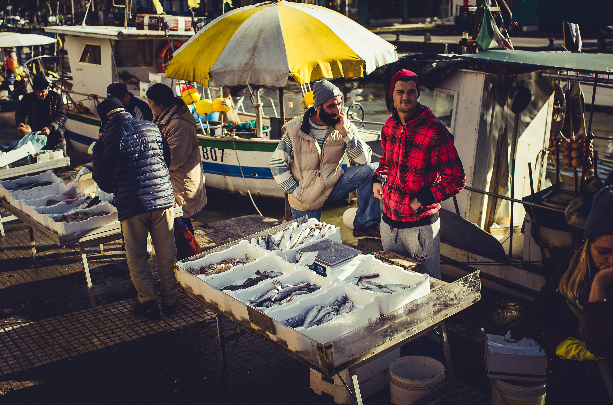Pesce fresco alla banchina