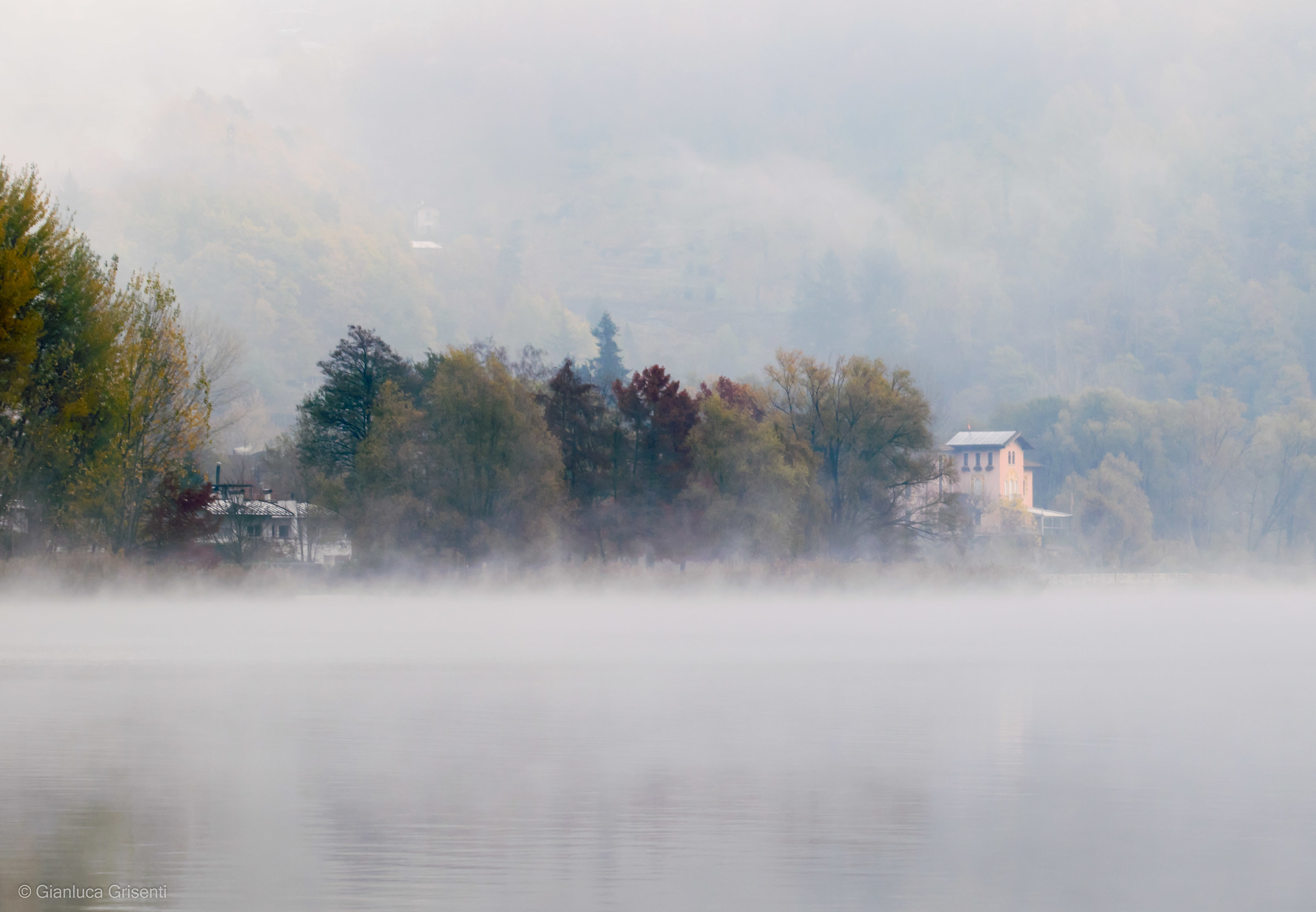 Fog on the lake