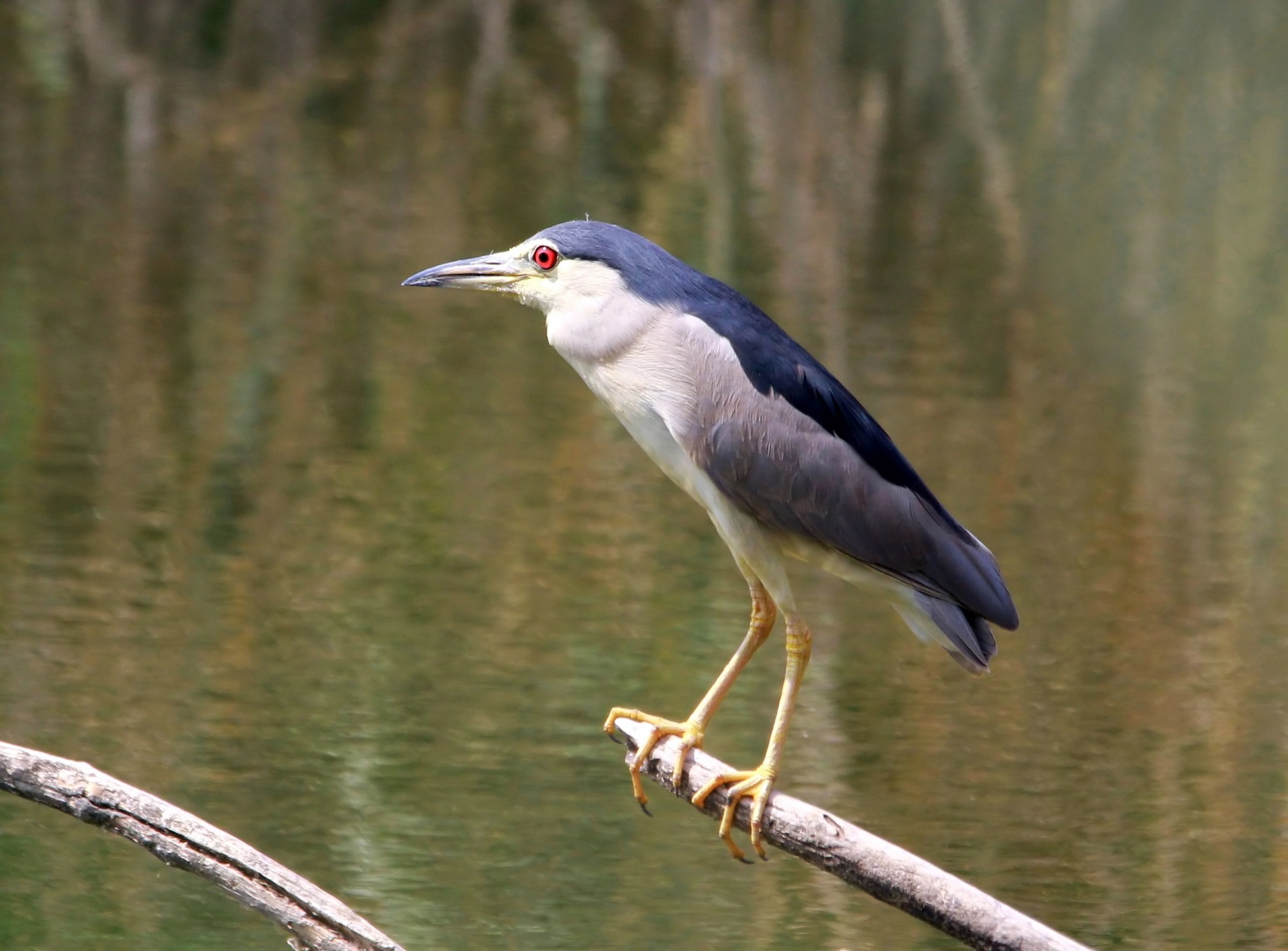 Provaglio D'Iseo - Le Torbiere