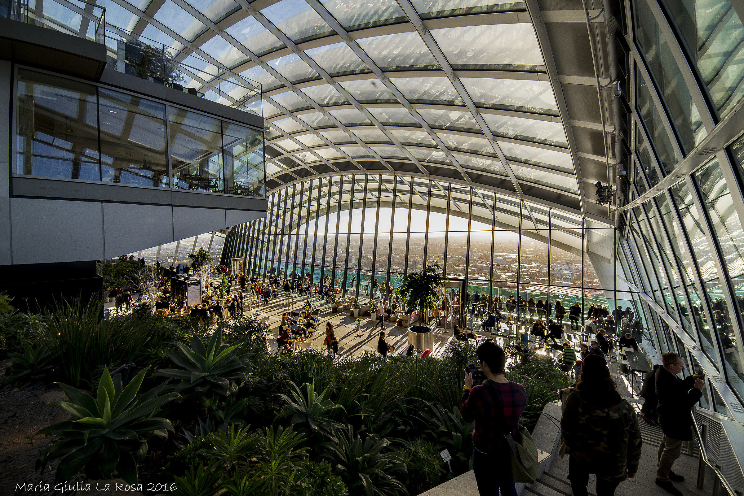 Londra - In cima al Walkie Talkie