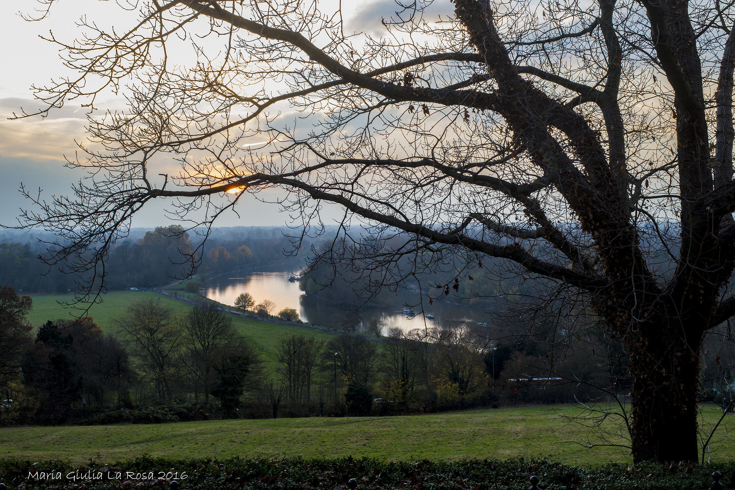 Londra - Richmond Park