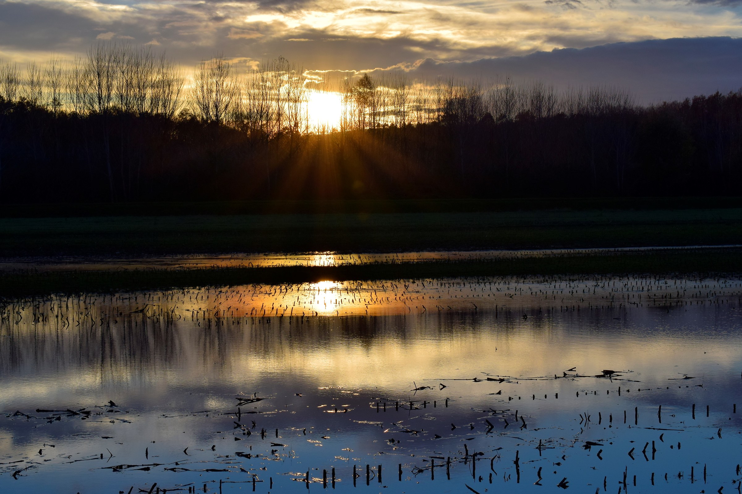 Tramonto al padule di ponte buggianese
