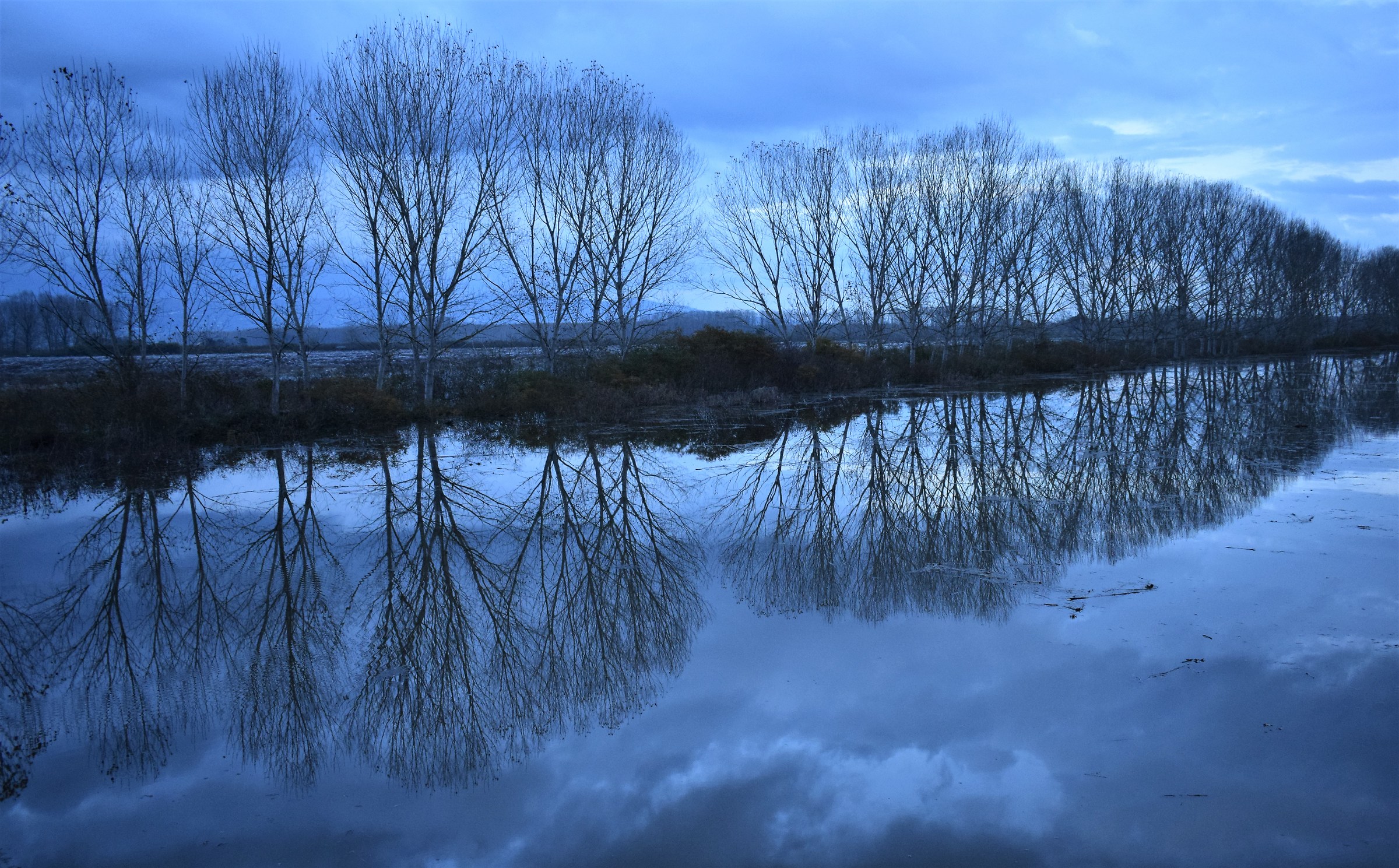 Padule di Ponte Buggianese