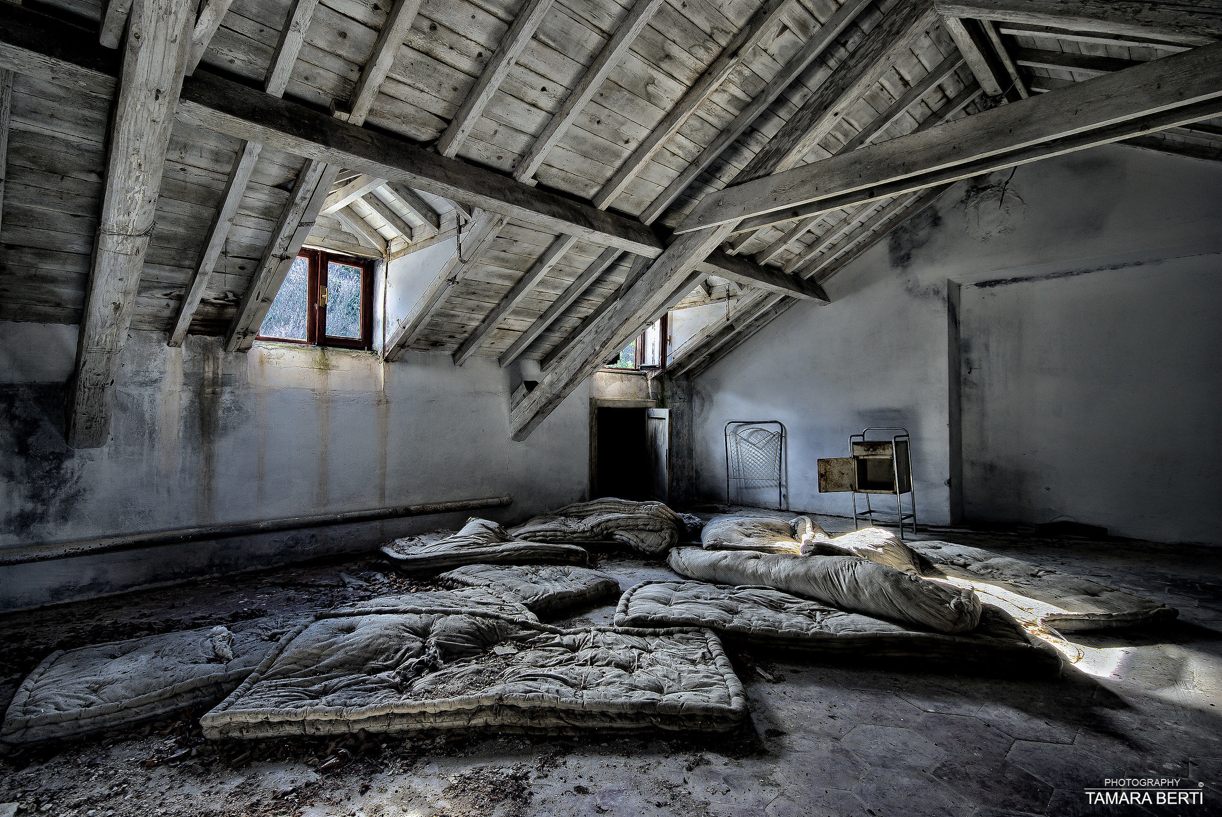 (S)comodità. Colonia D.