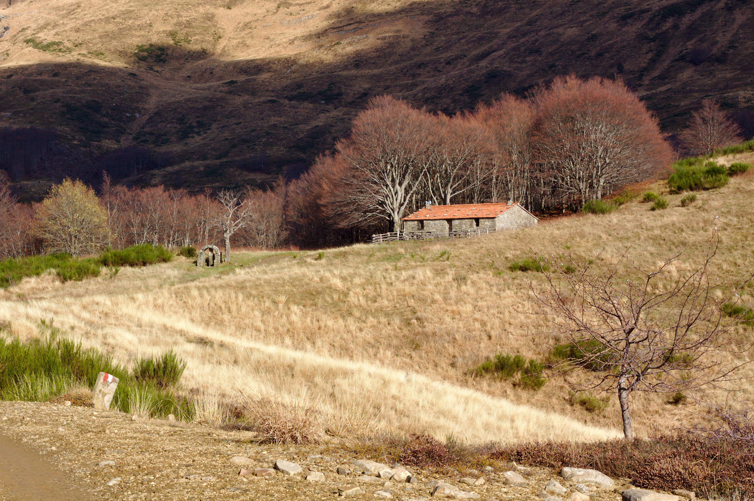 Le Roncole (Appennino Pistoiese)
