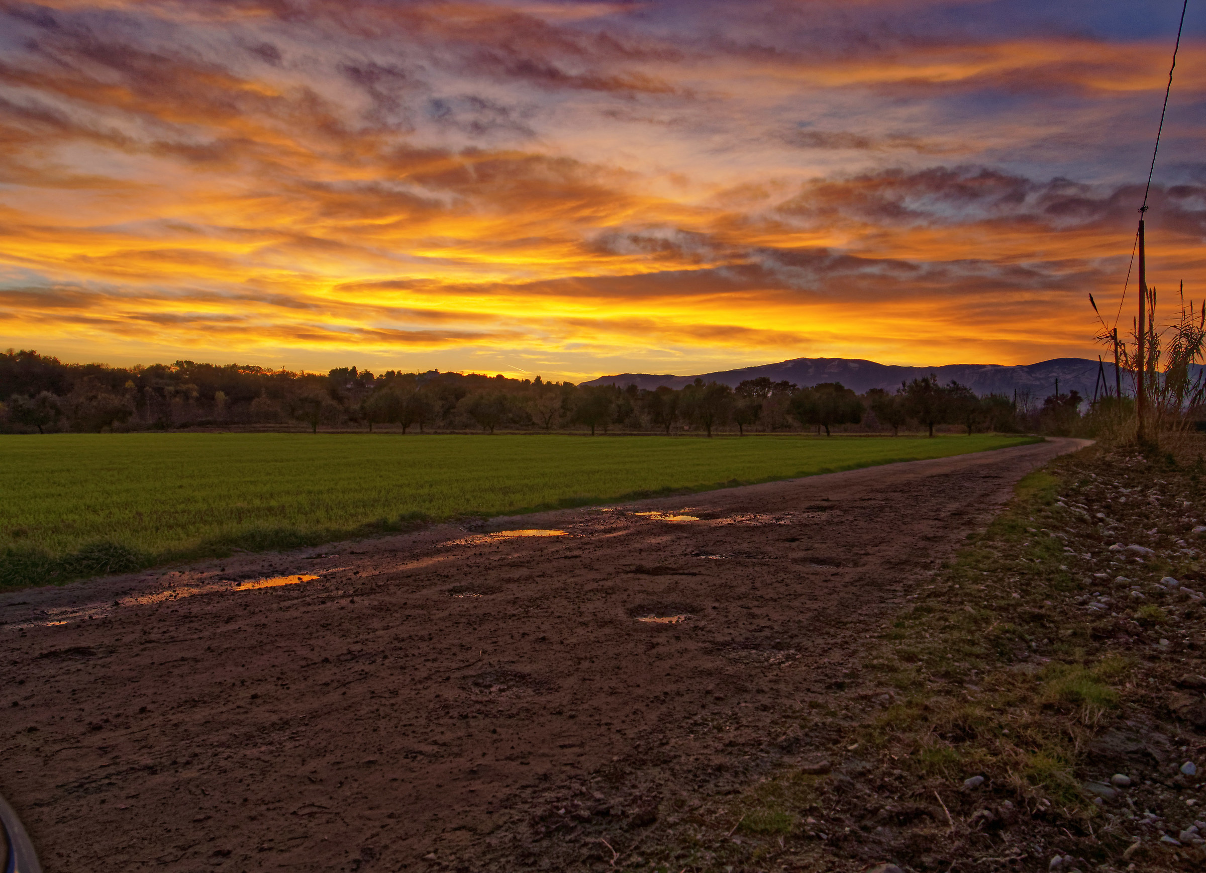 Tramonto in campagna