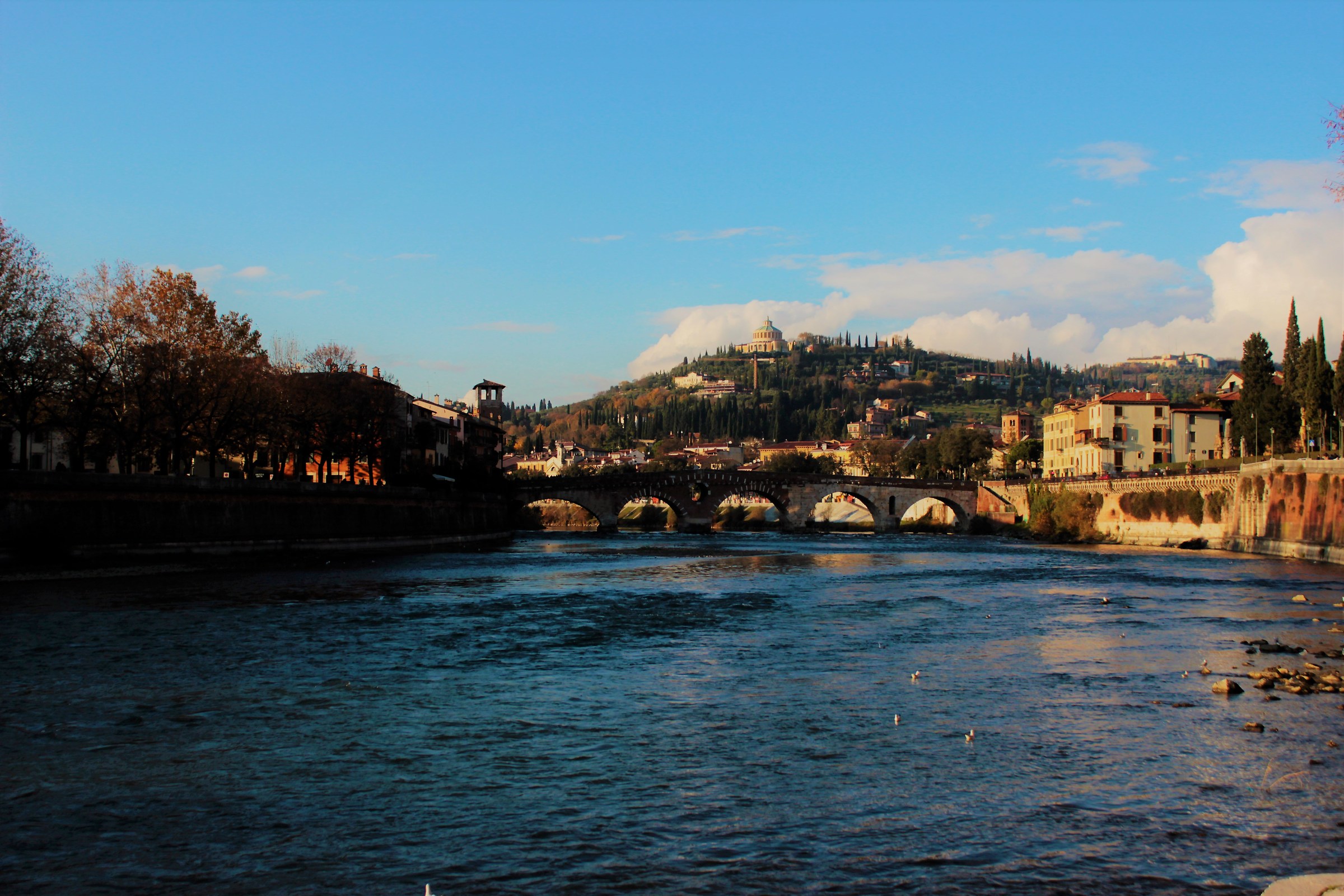 Stone Bridge on a warm winter Verona