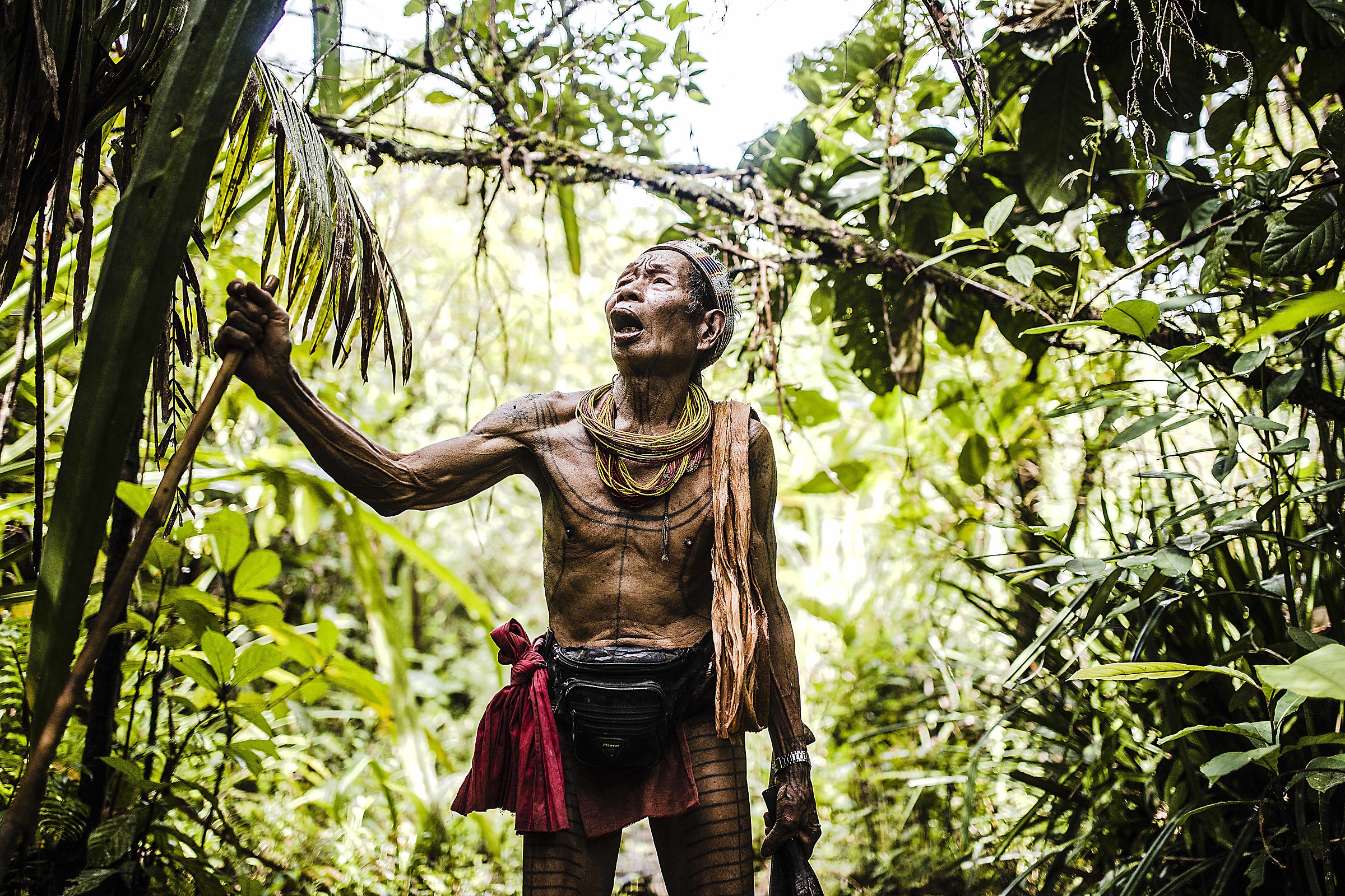 Every now photoshop entertains