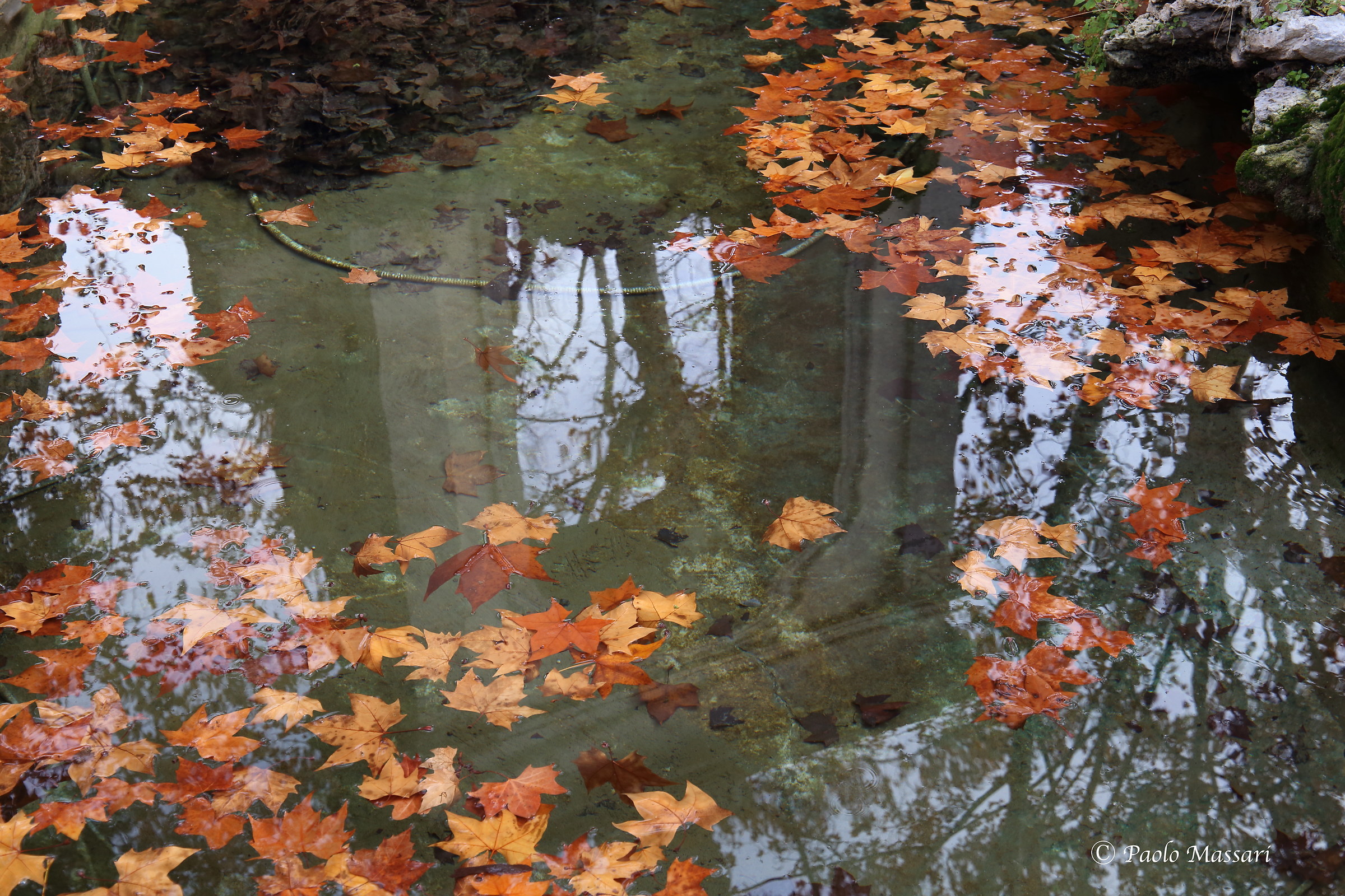 Riflessi d'autunno