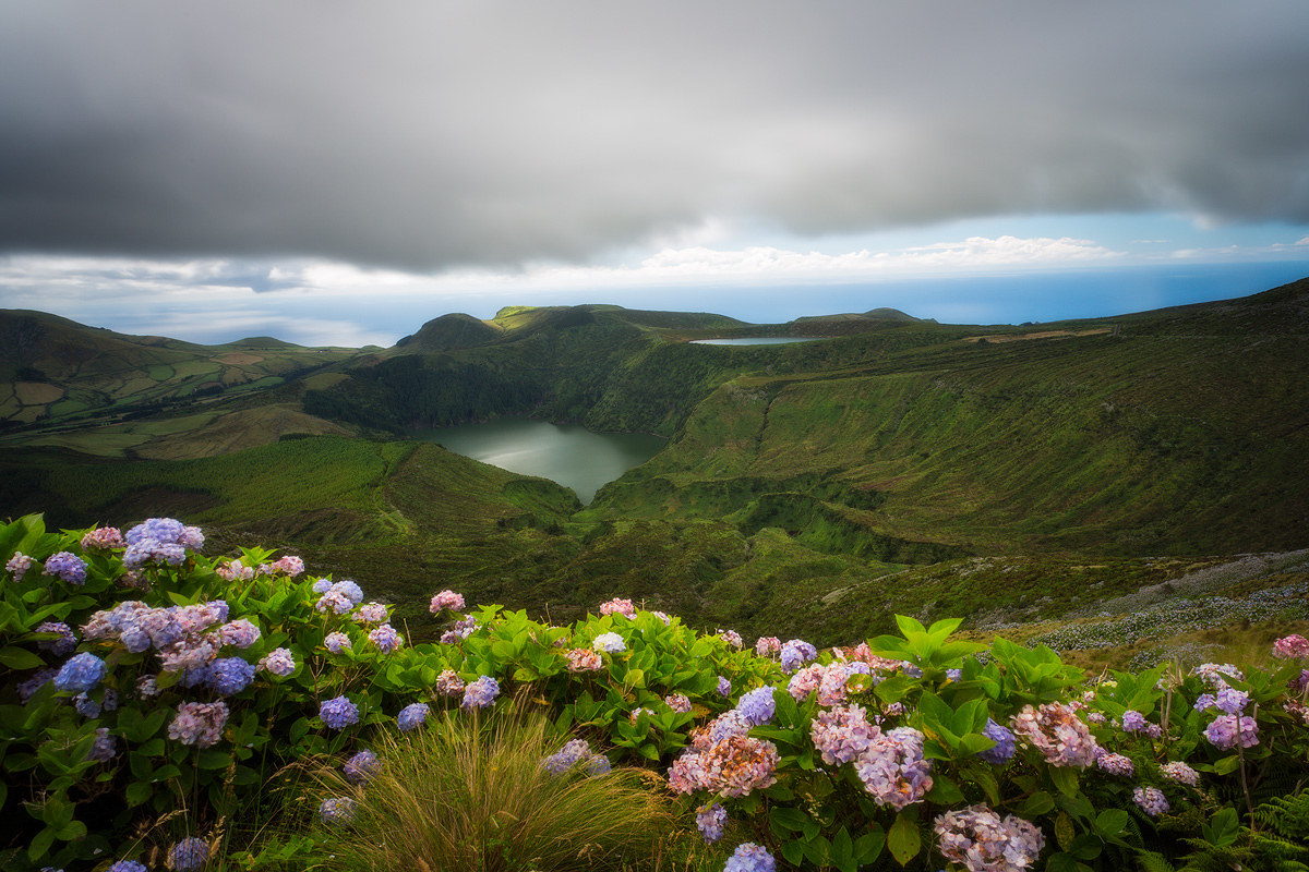 Flores (Azores)