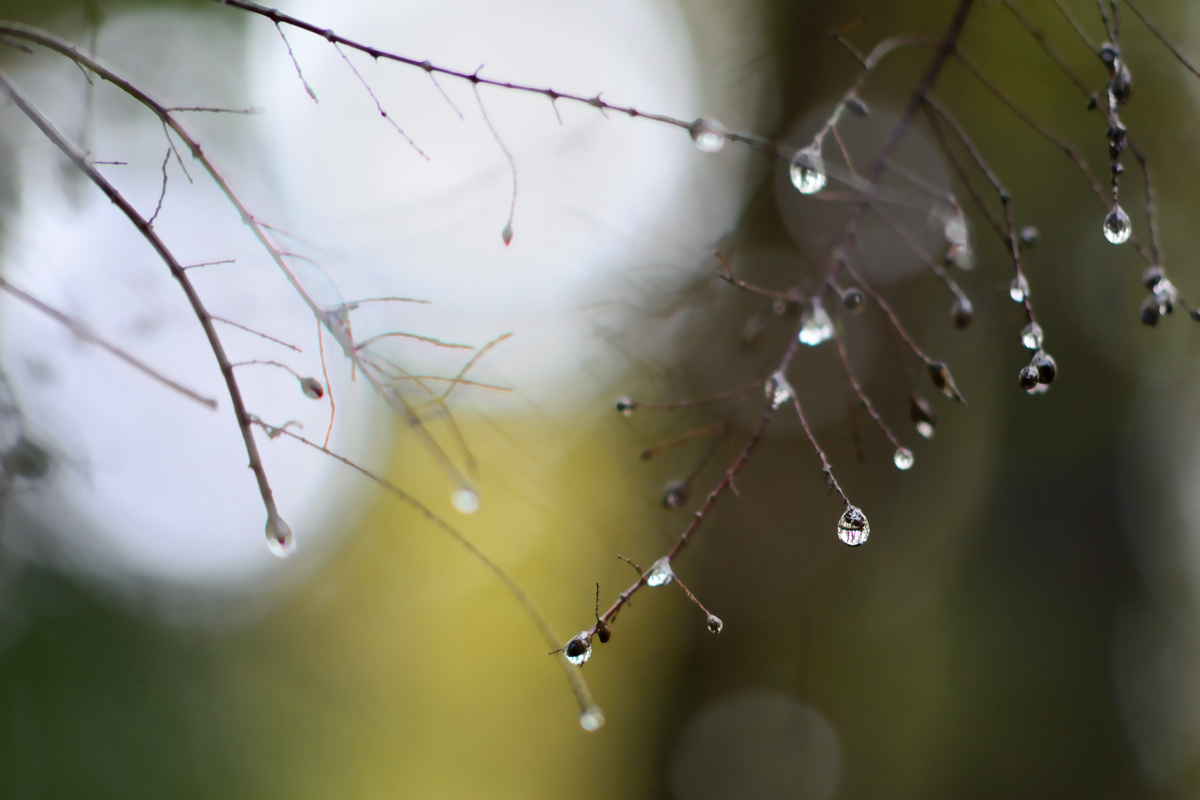 Drop - Circeo 20161119