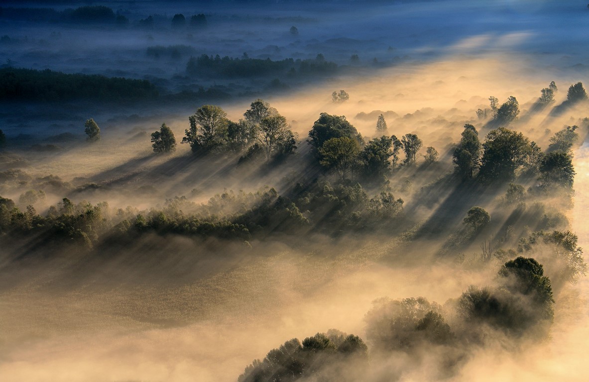 Rays of sun through the fog!