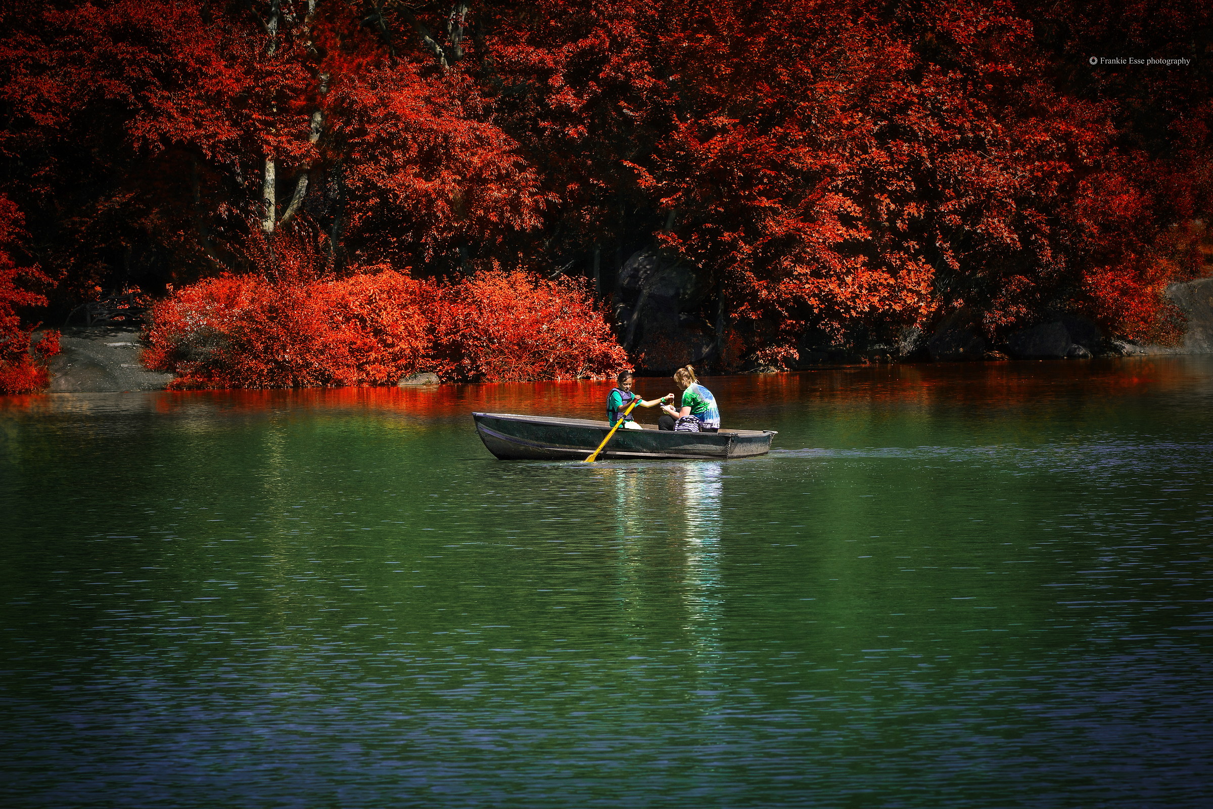 Boat ride in Central Park - New York