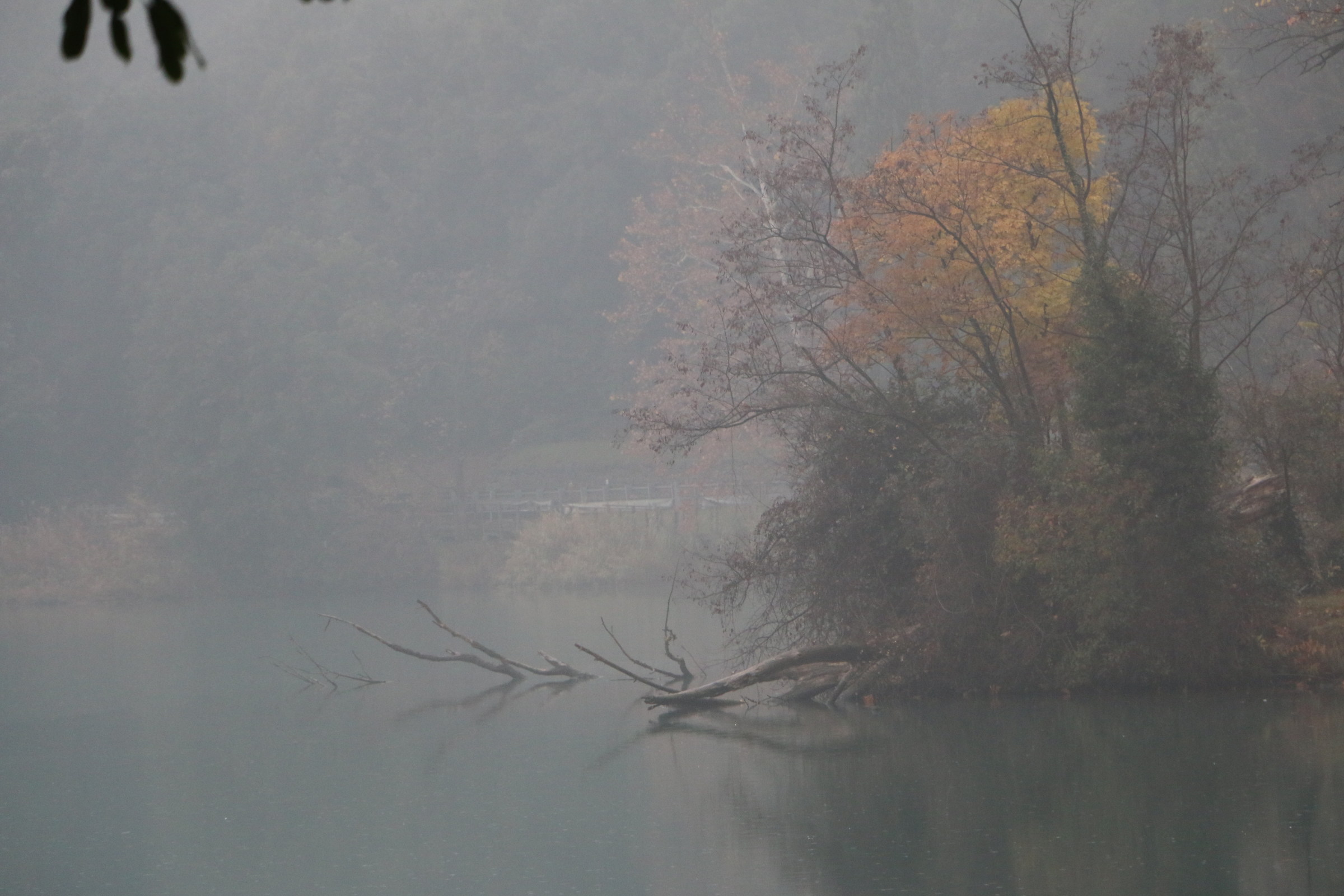 Joy to my eyes, and your ???