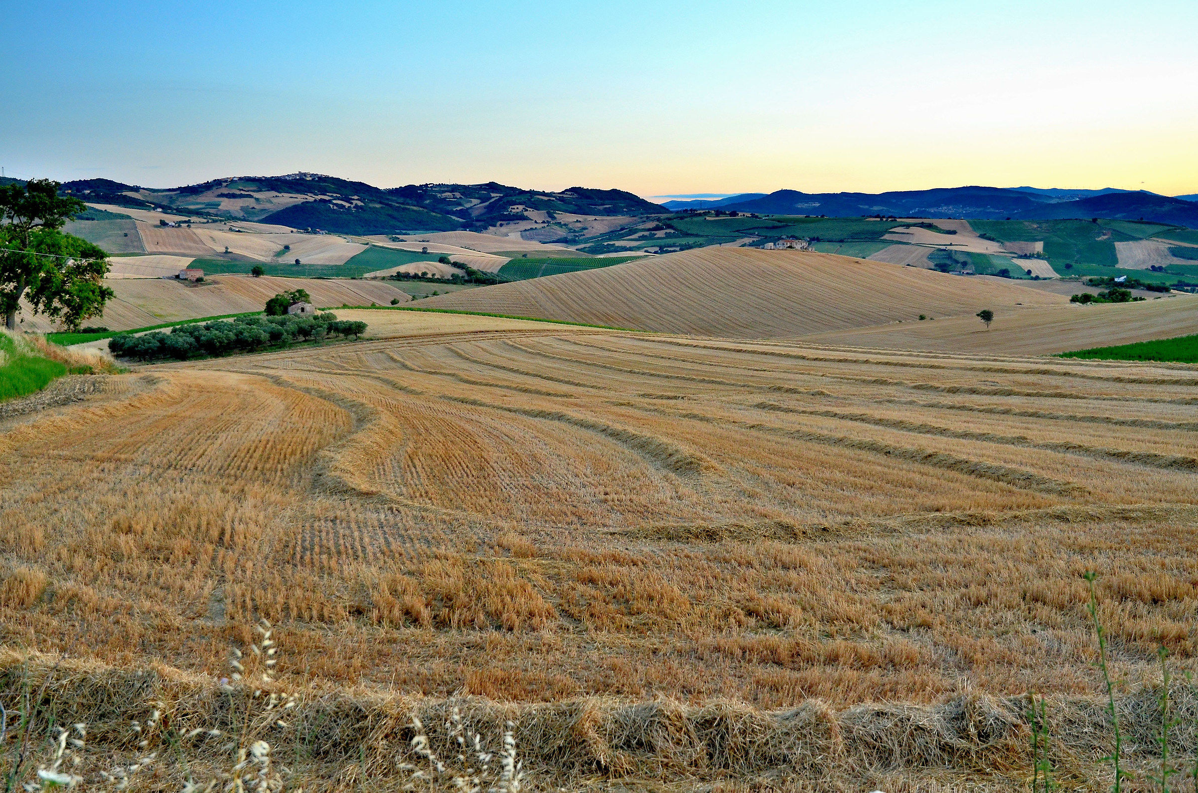 The Quiet of the Evening