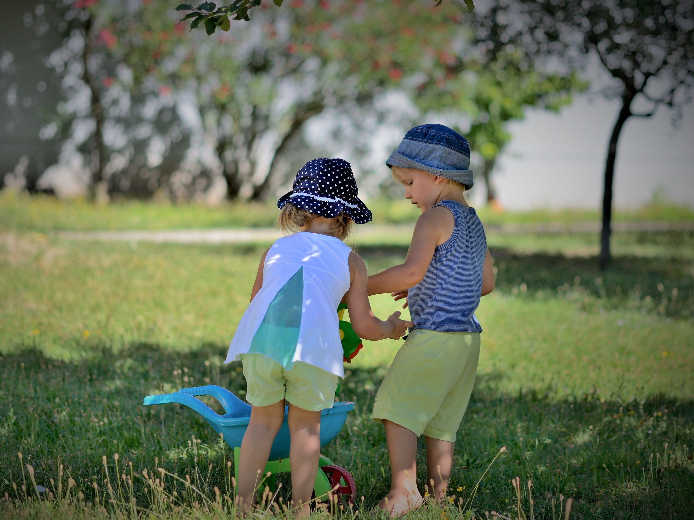 Giochi in un giorno d'estate