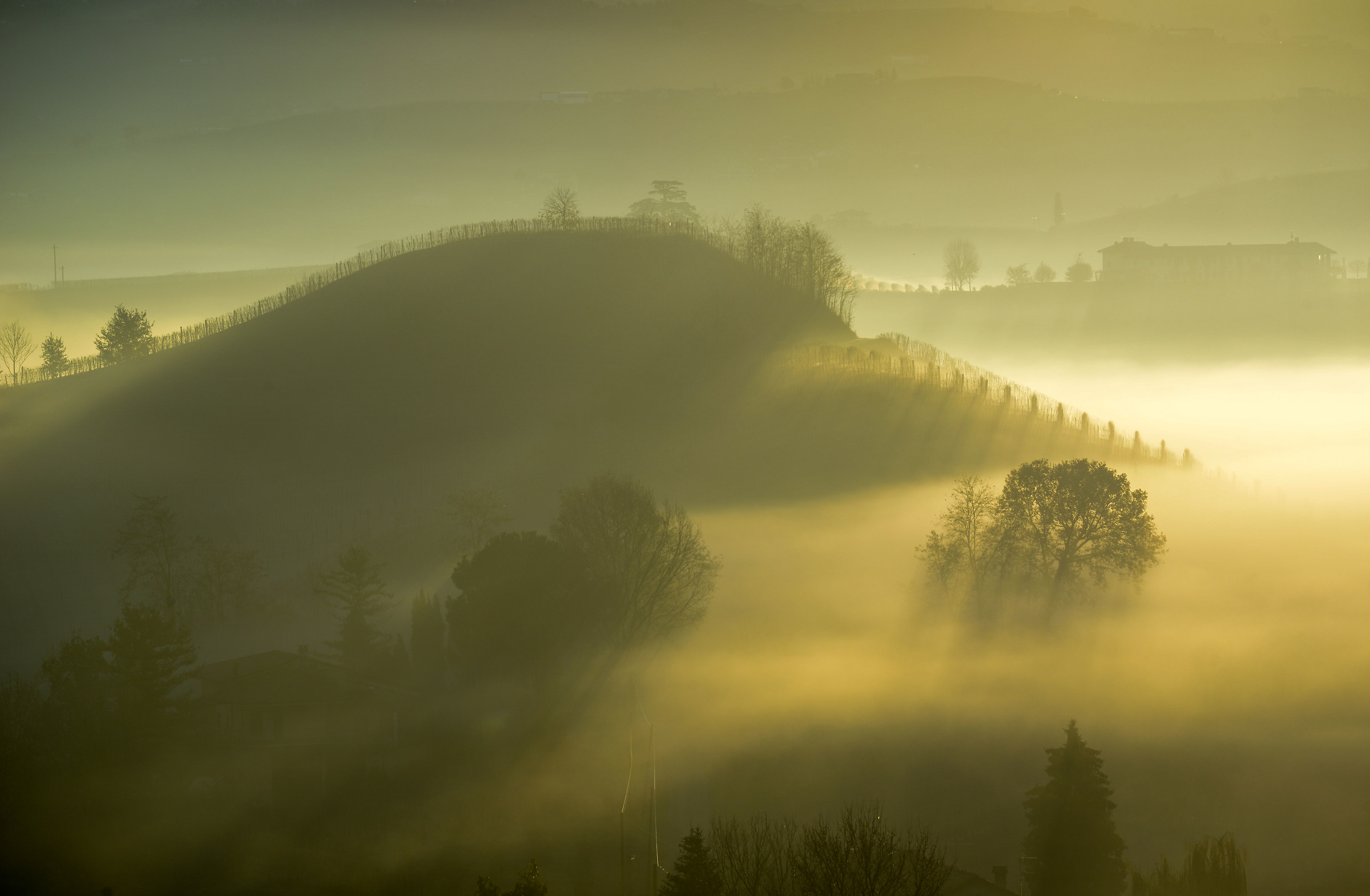 Emozioni di fine autunno!