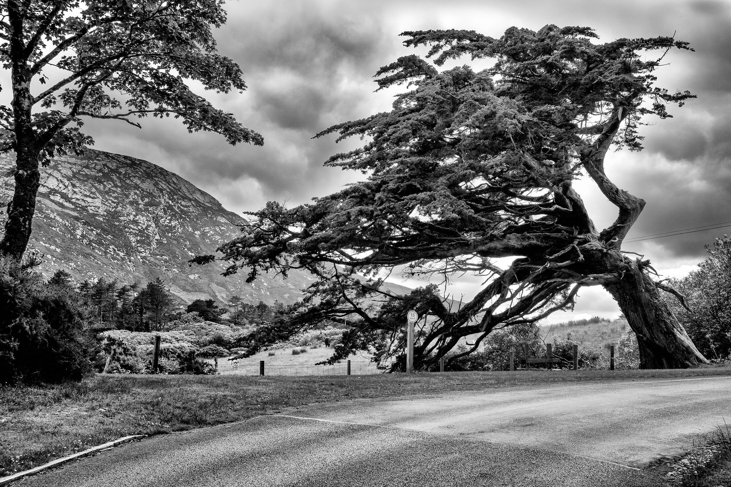 I bend but I do not break