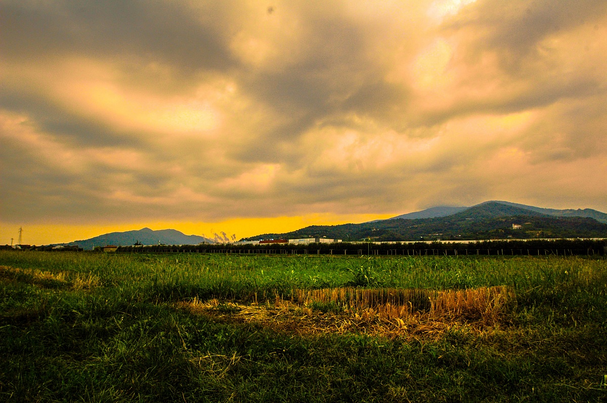 Campagna di Verzuolo