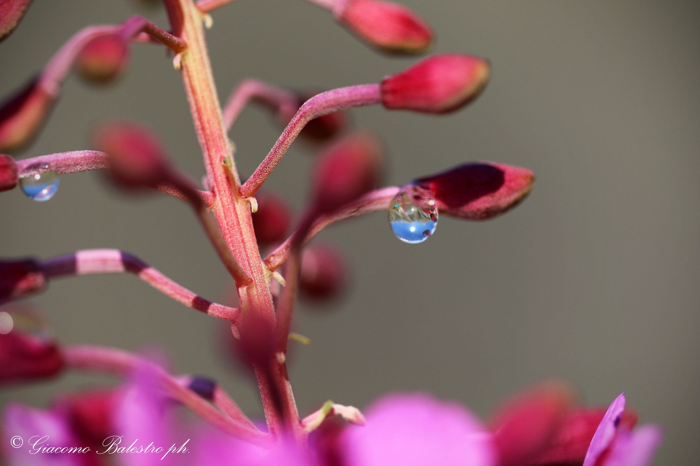 La montagna in una goccia...