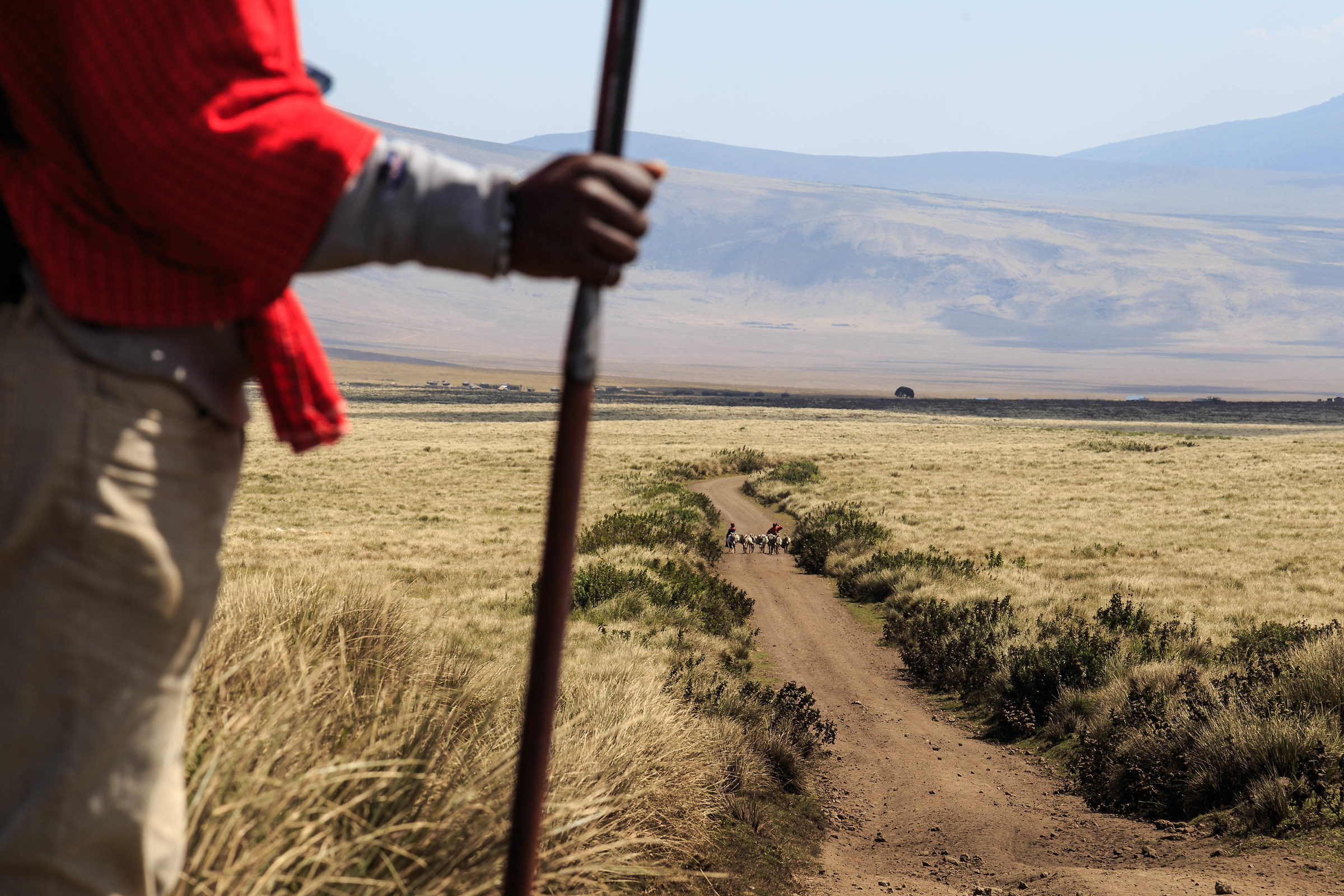 Walking in Gnorongoro