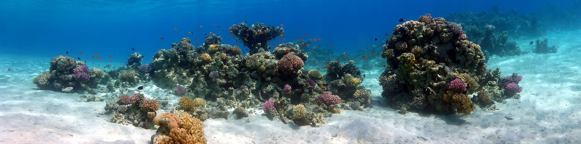 Barrier Reef