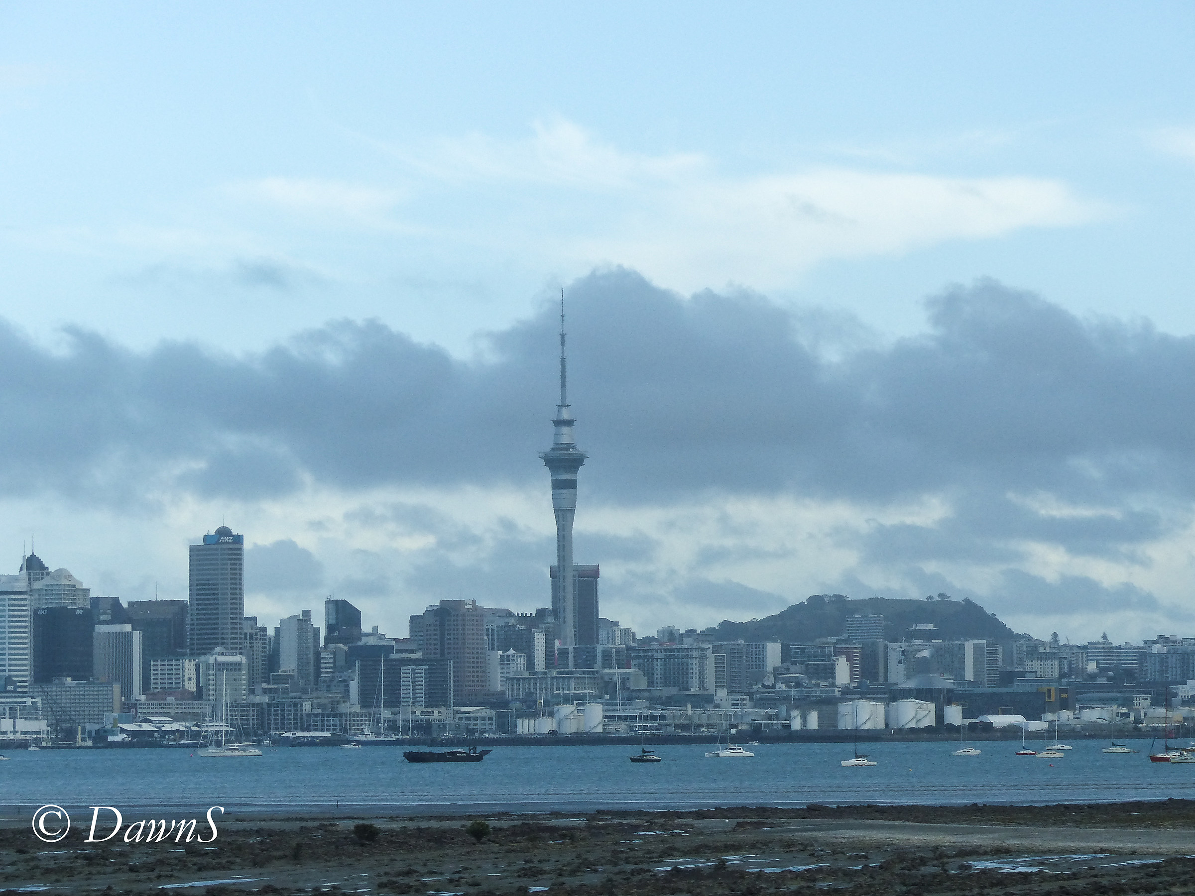Auckland Skyline