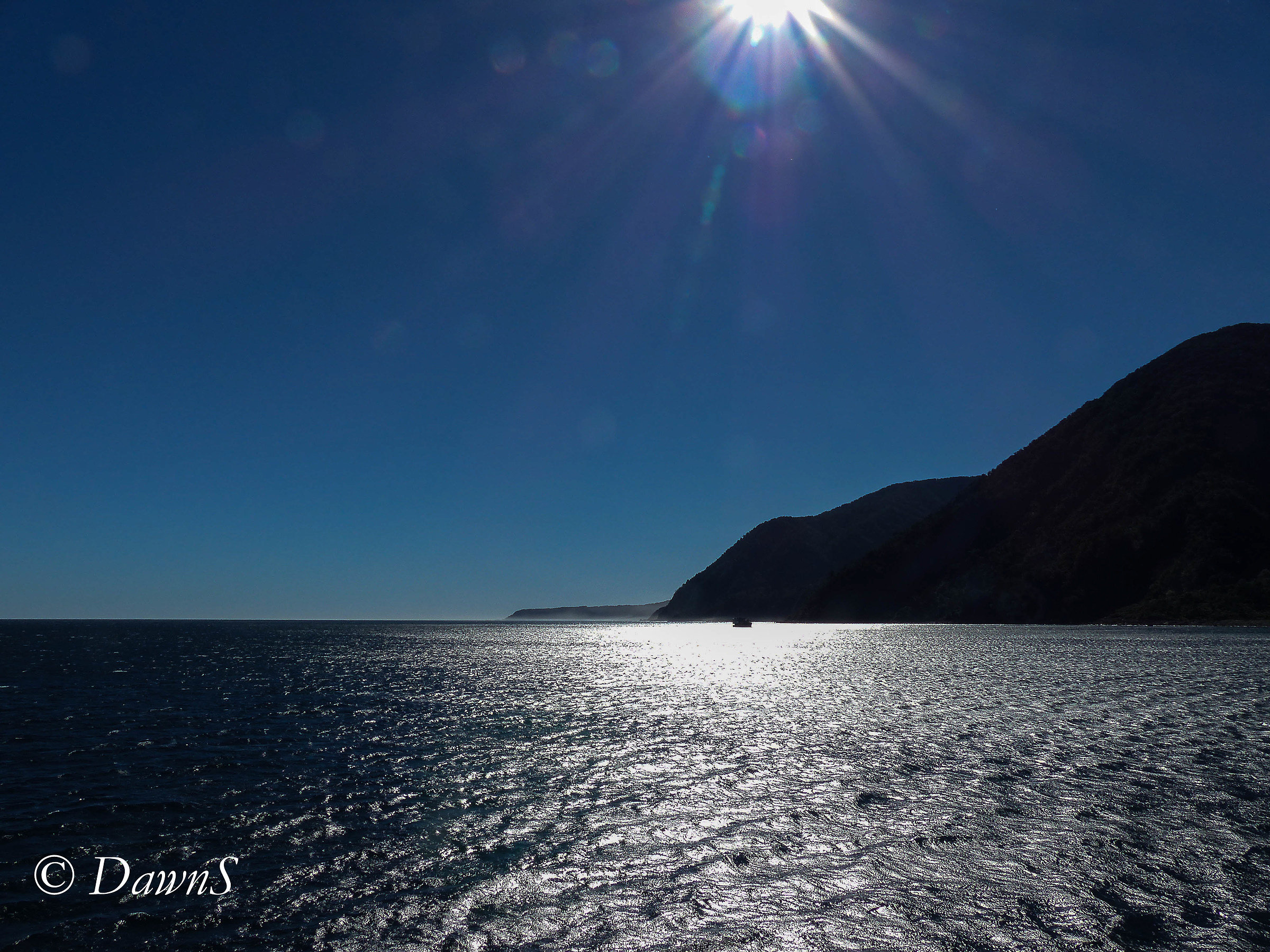 Milford Sound into the sun