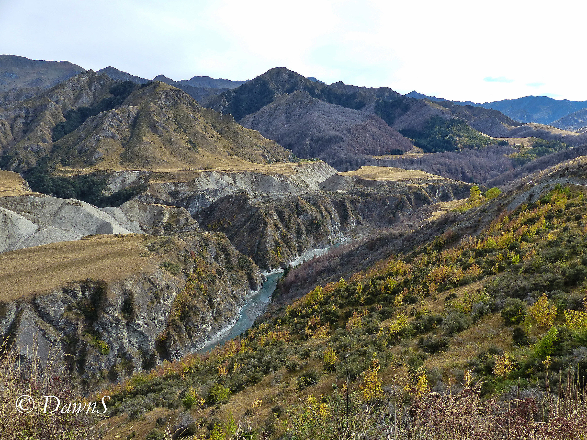 River through Skippers' Canyon