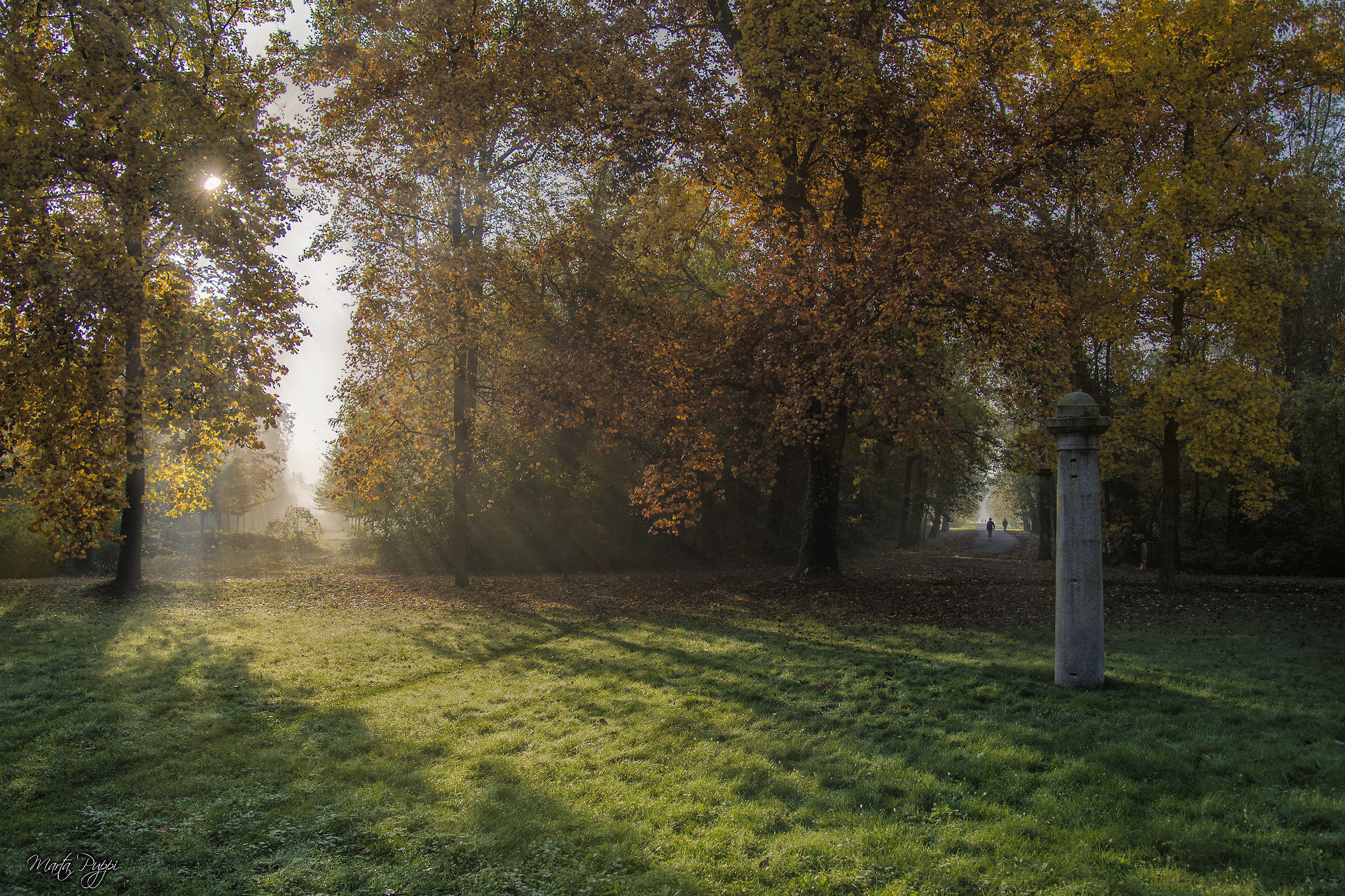 Raggi di un nuovo giorno