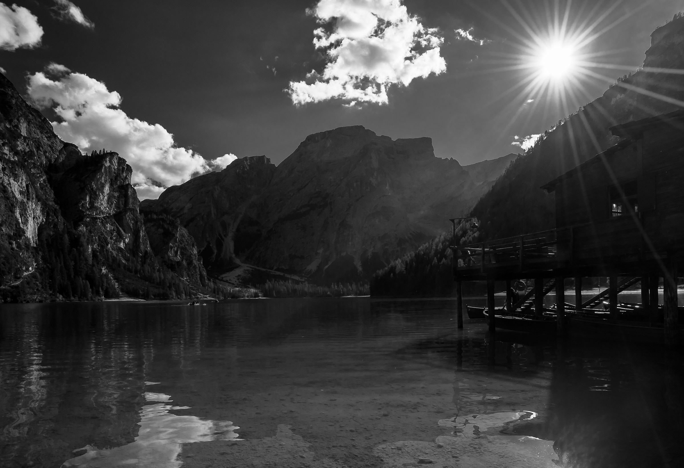 Where the colors are gone?