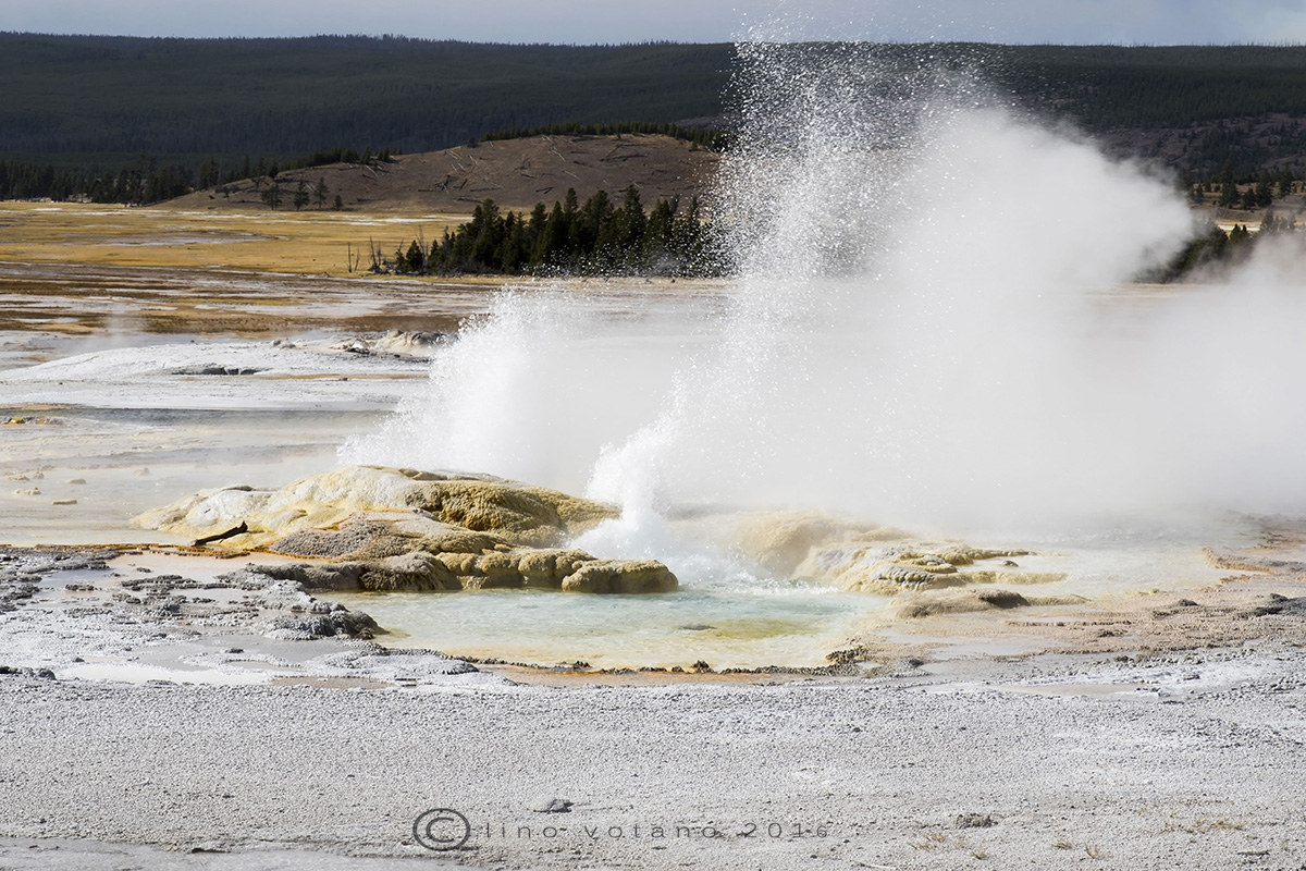 Yelloston National Park