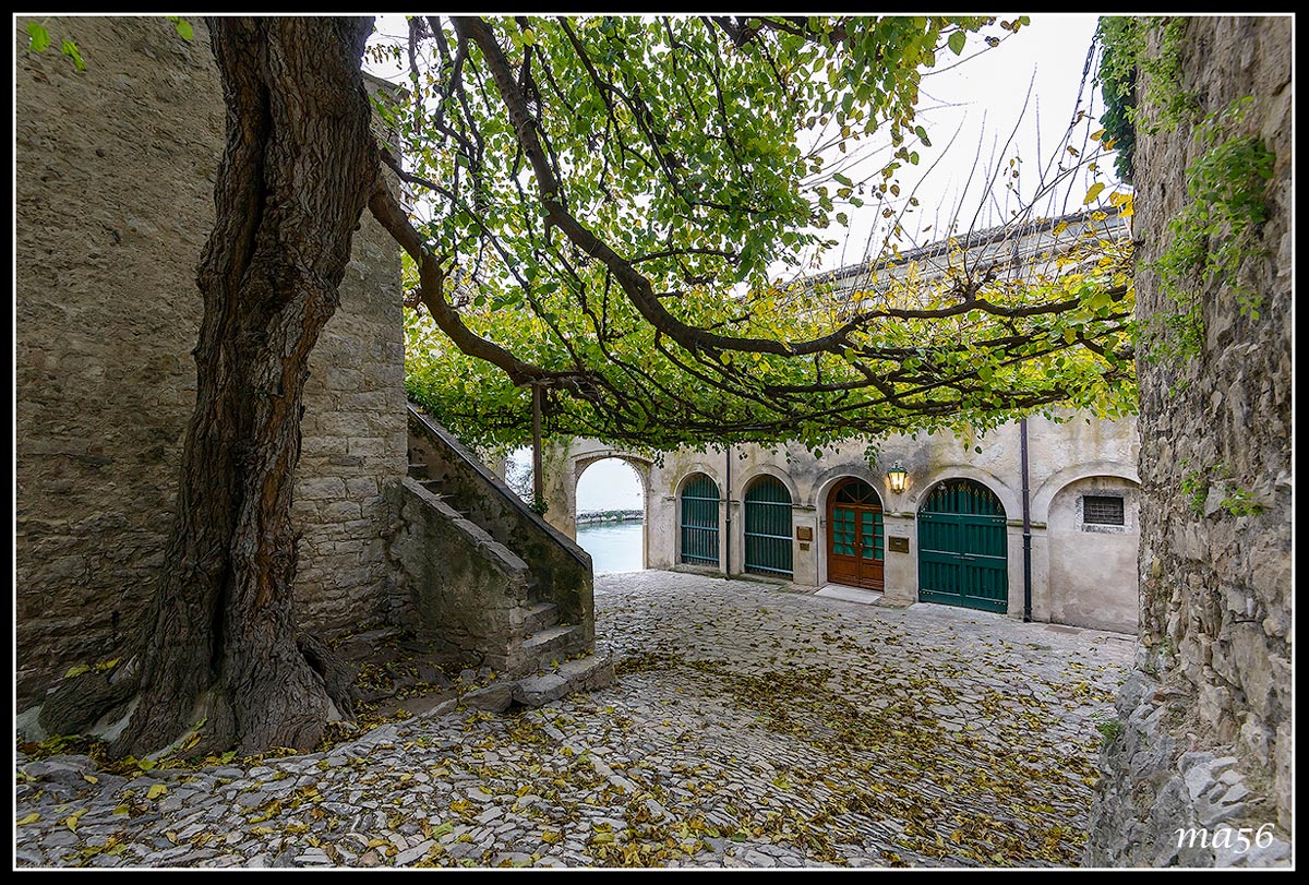 Punta S. Vigilio - Garda