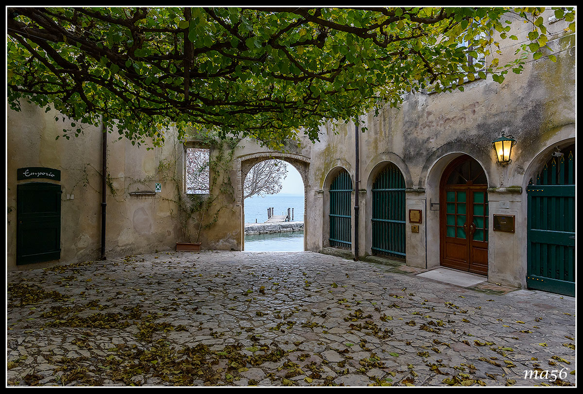 Punta S. Vigilio - Garda