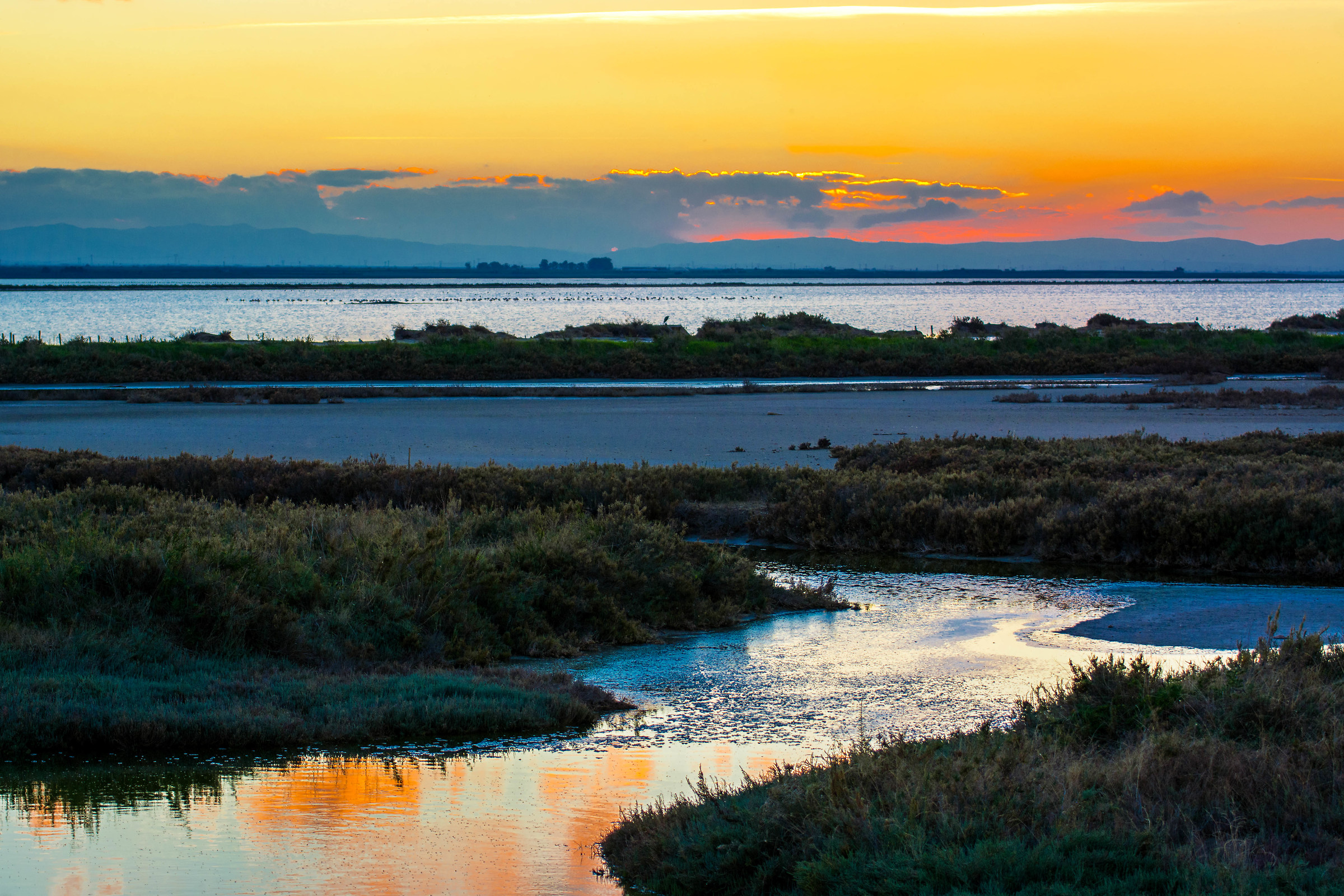 Saline at sunset | Margherita di Savoia | 2015