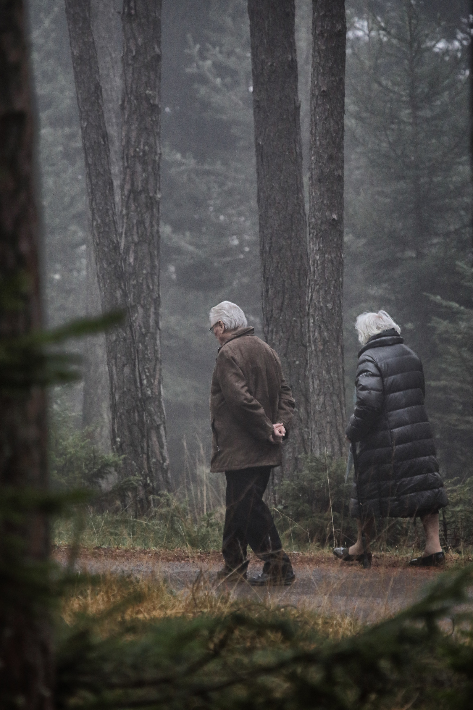 Walking in the fog
