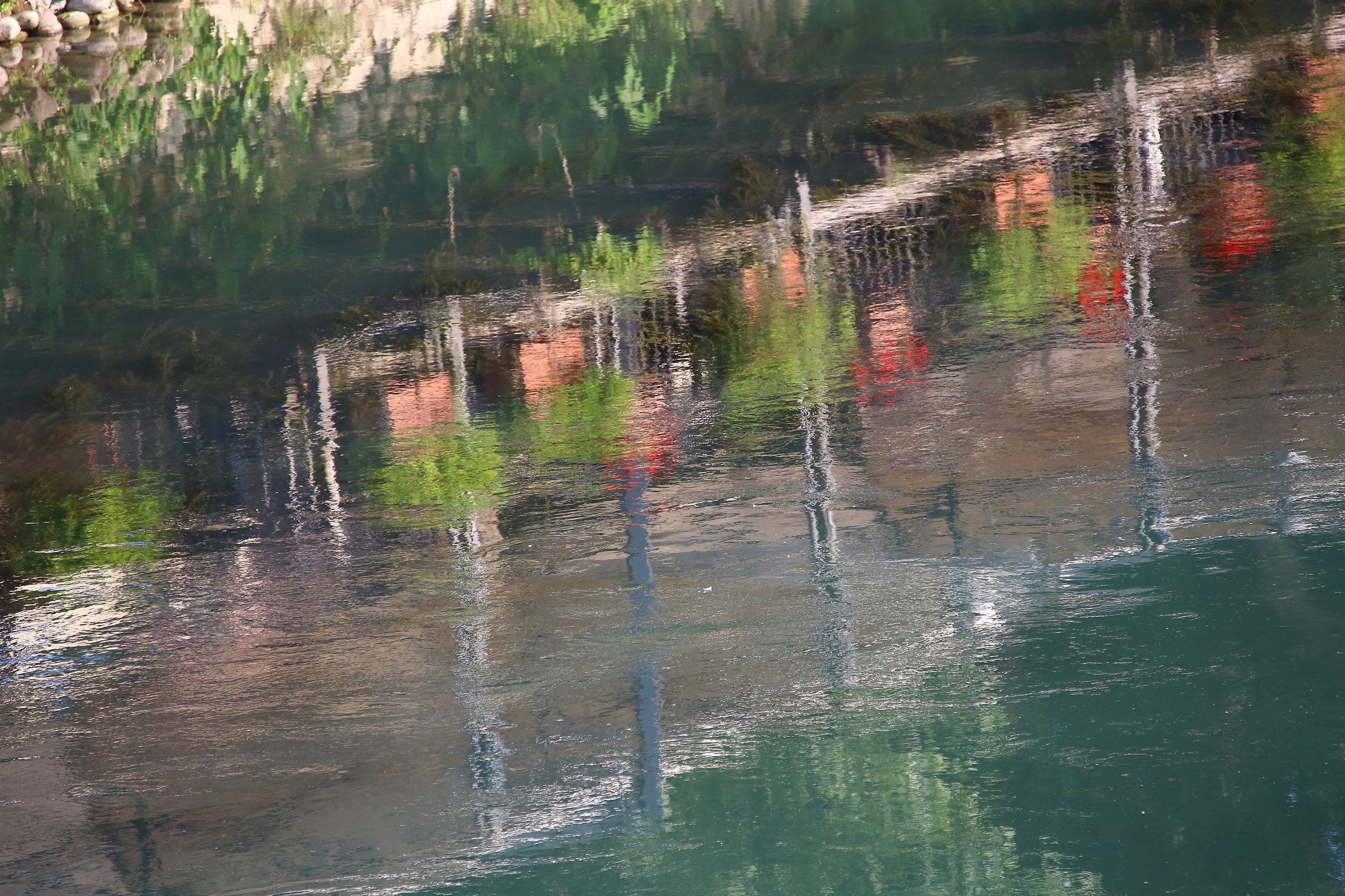 Reflexes