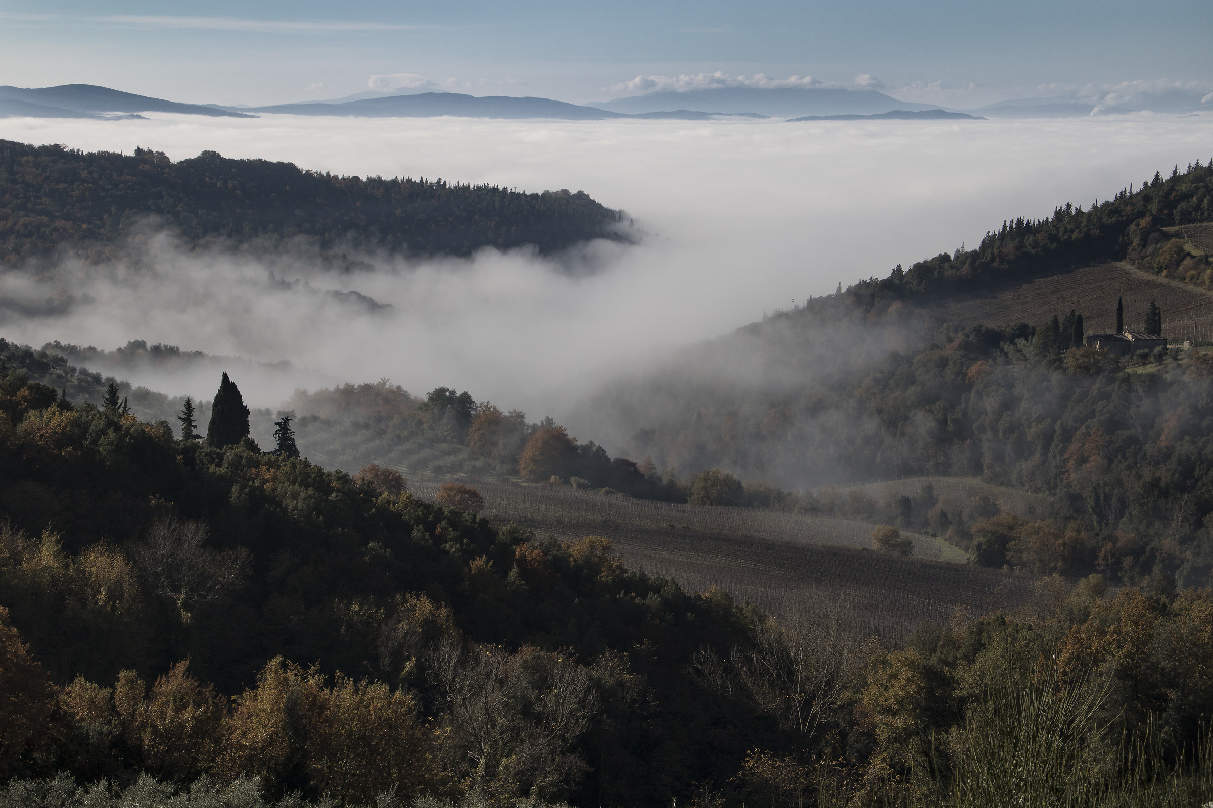 Nebbia agli irti colli....