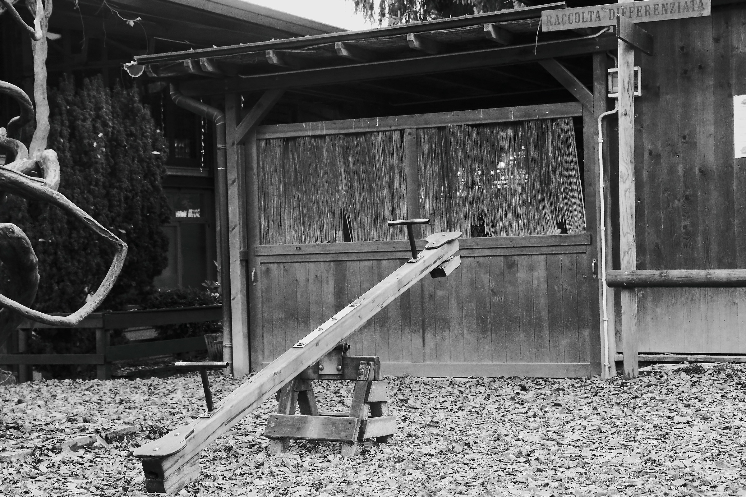 Does not play anyone?