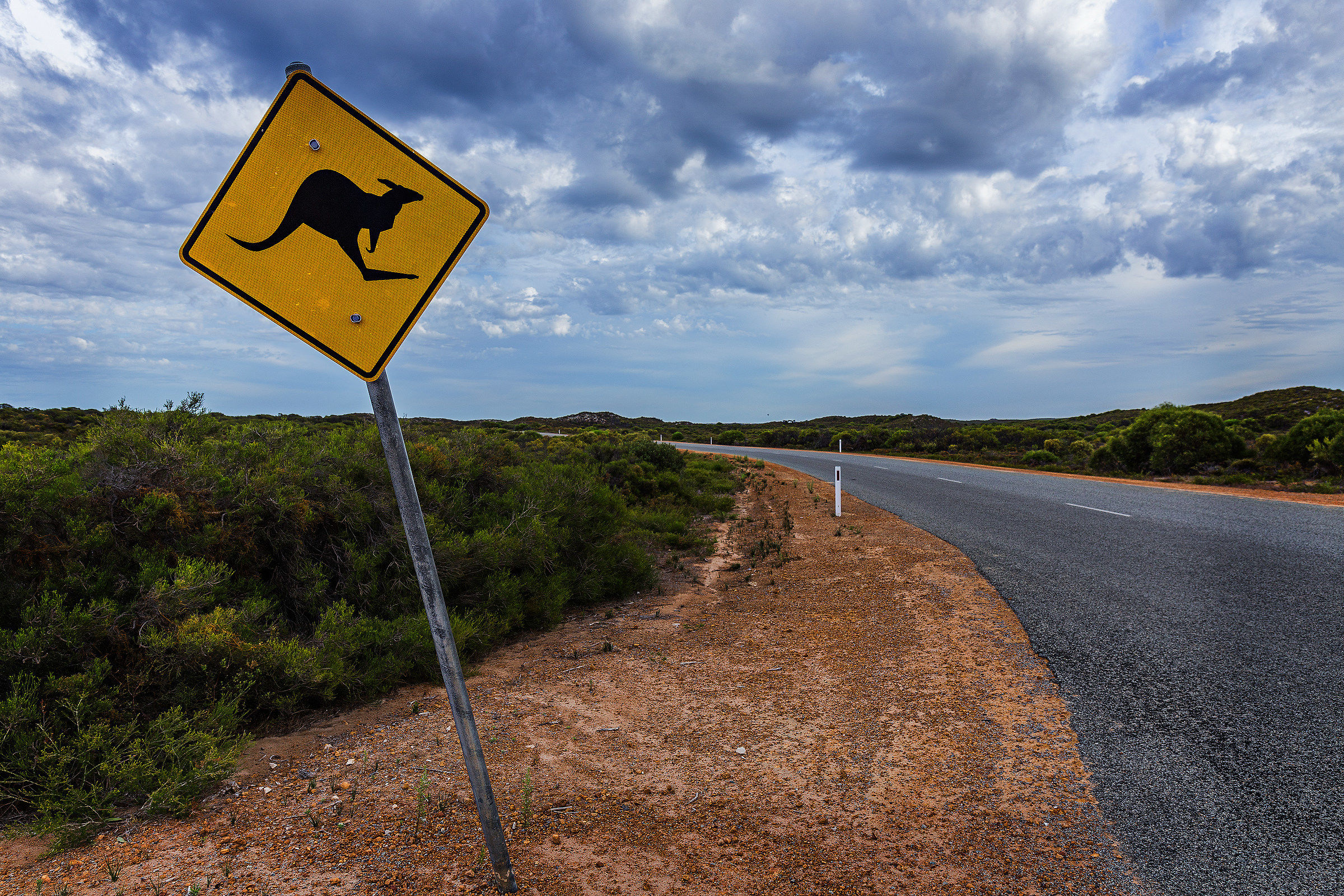 Kangaroo Crossing