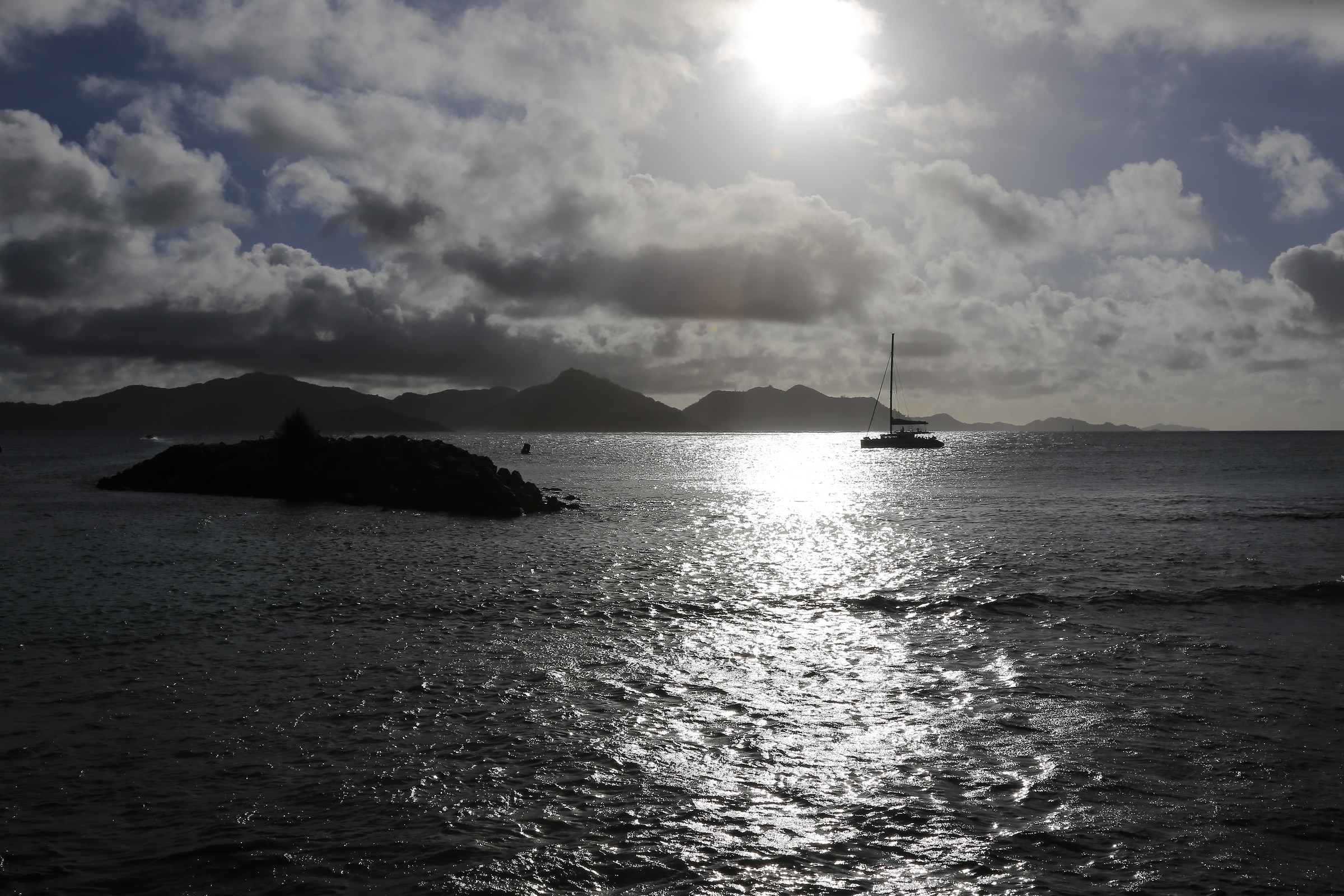 Almost a black and white