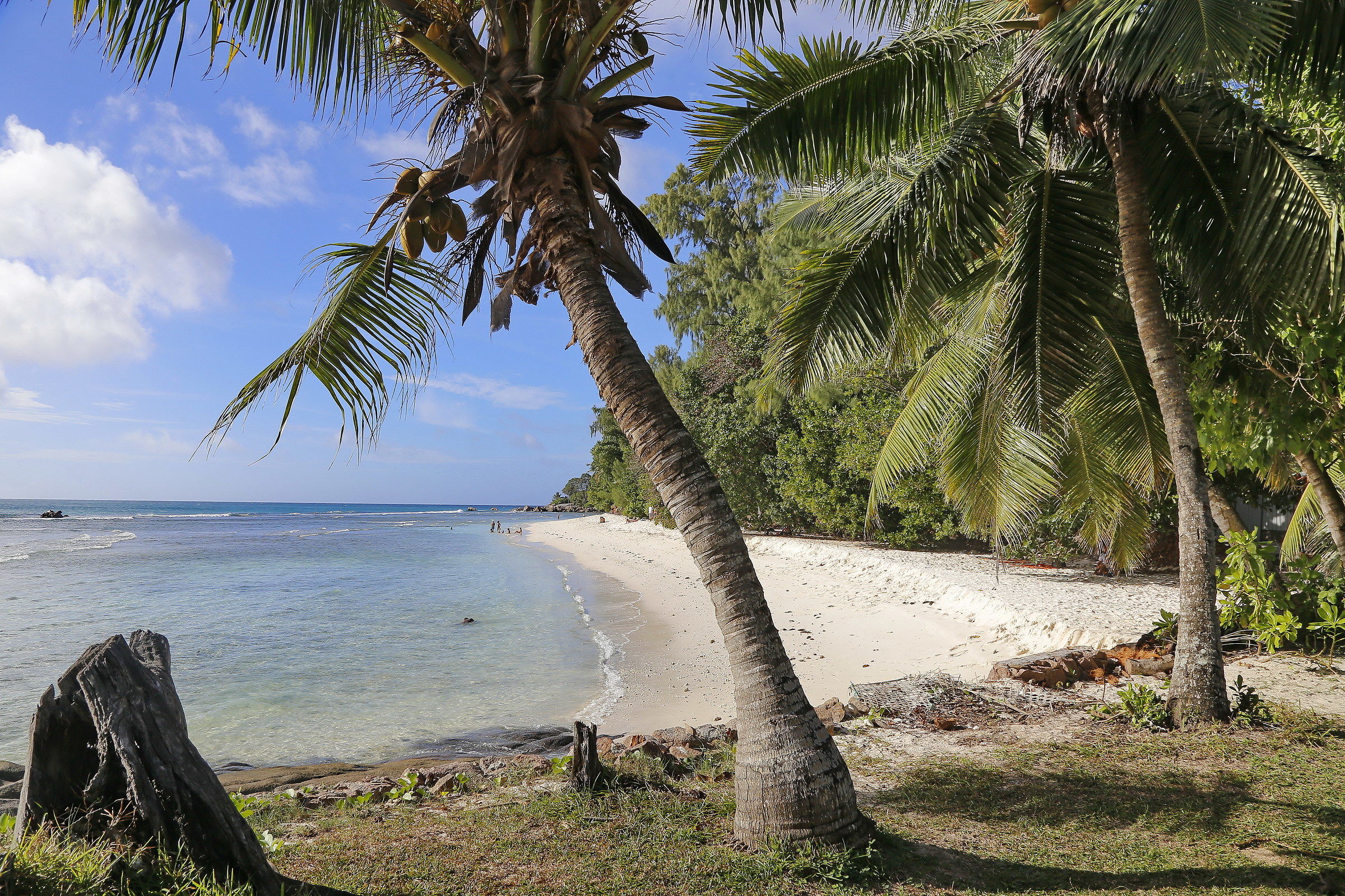 a postcard, Apple do you do?