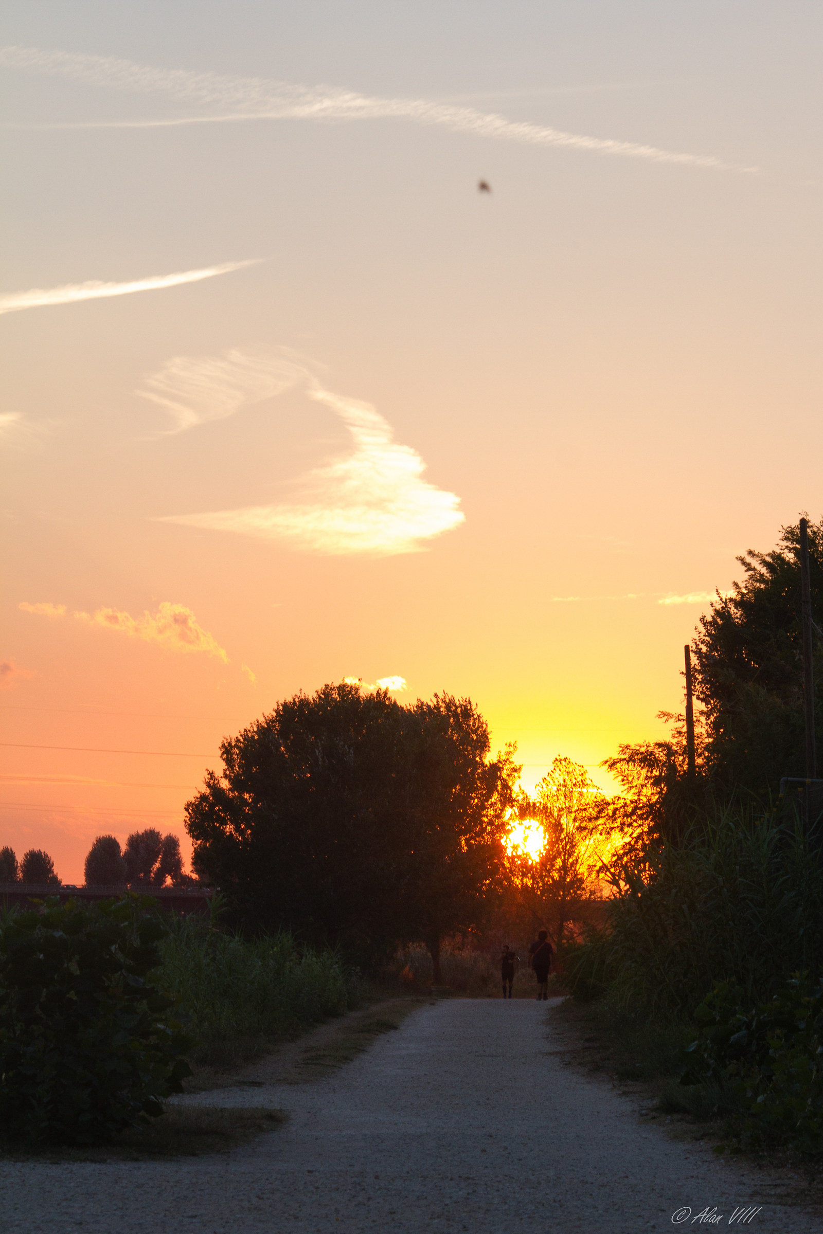 il bagliore prima del buio