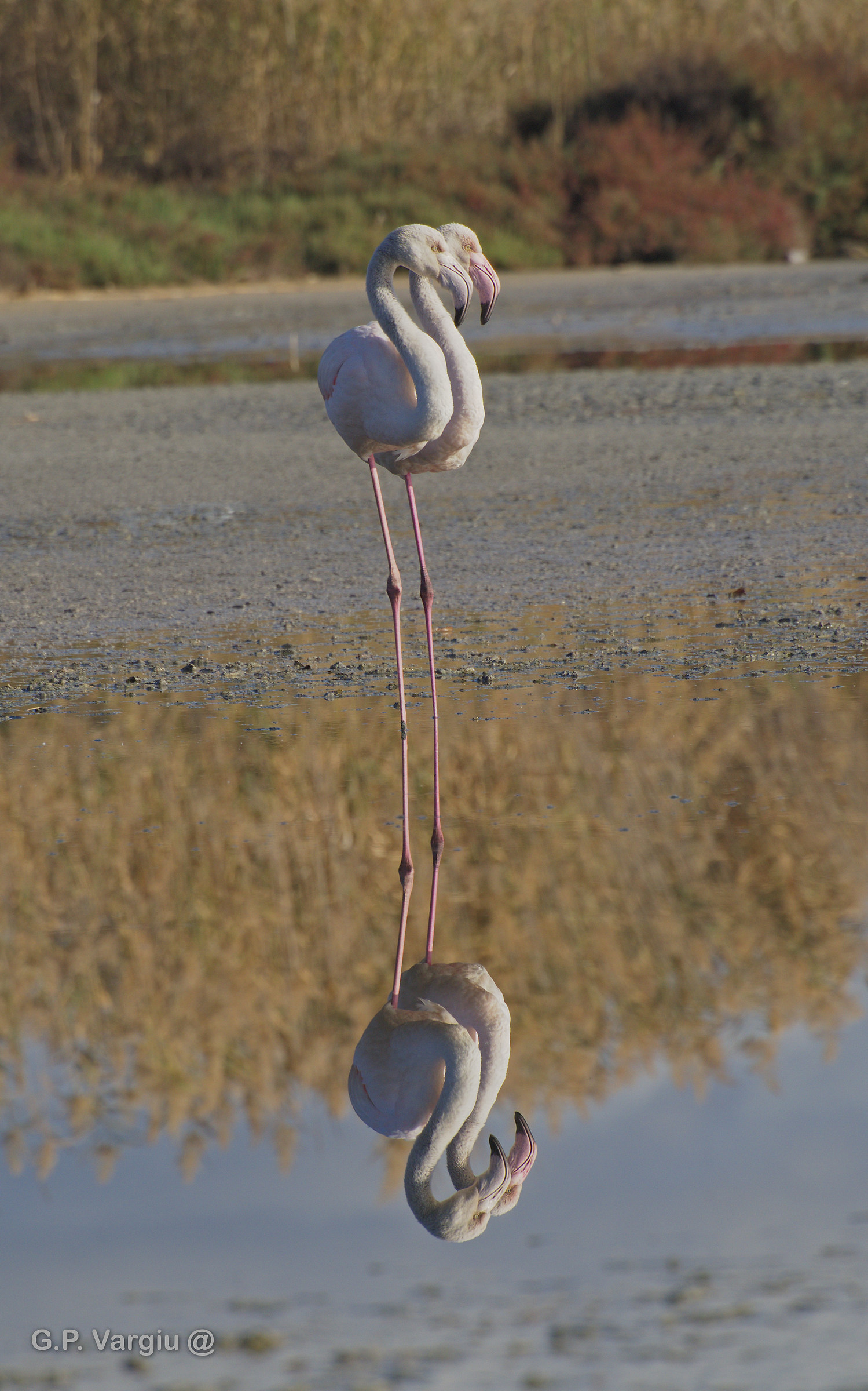 Proprio due gocce d'acqua!
