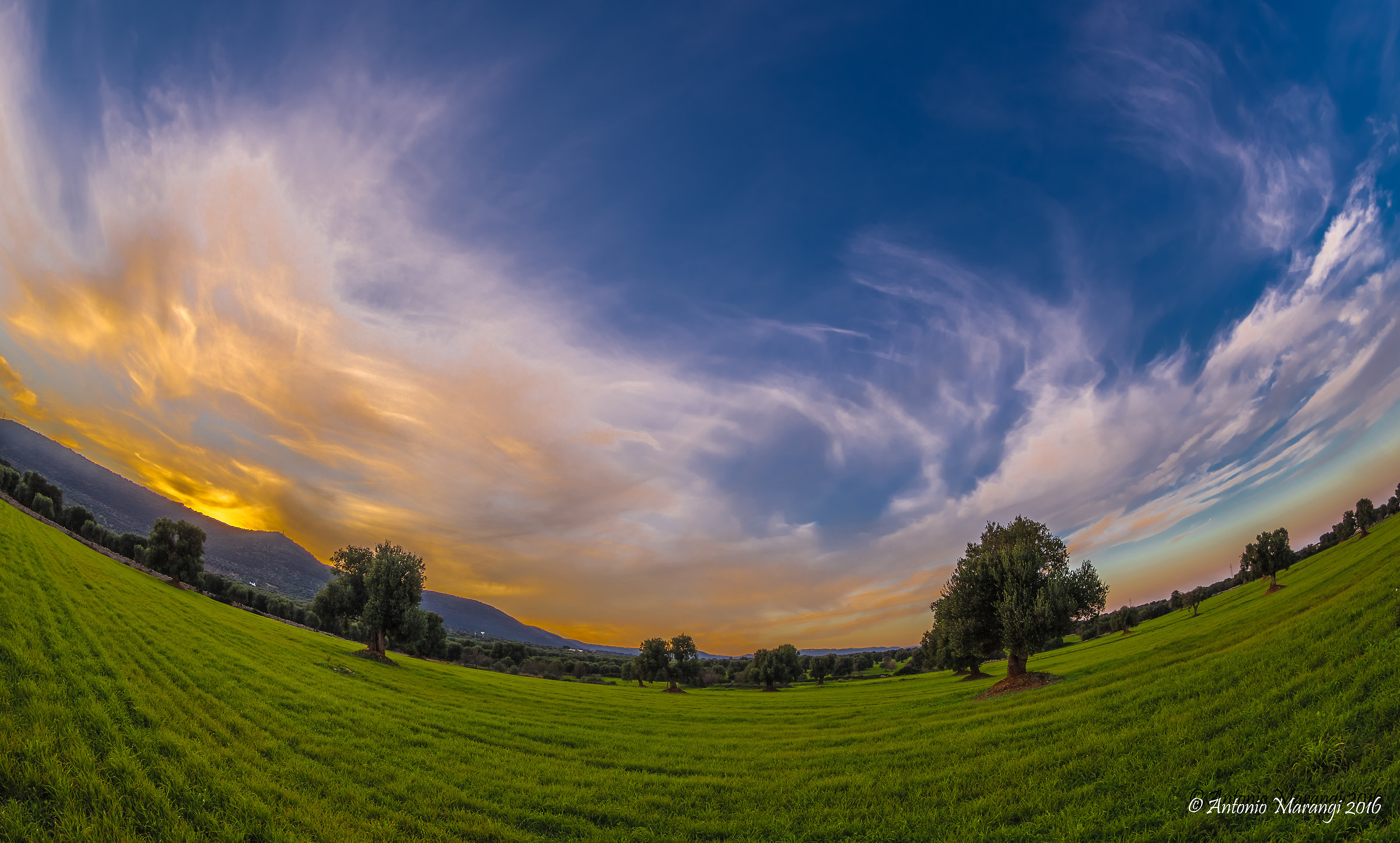 Dalla terra al Cielo