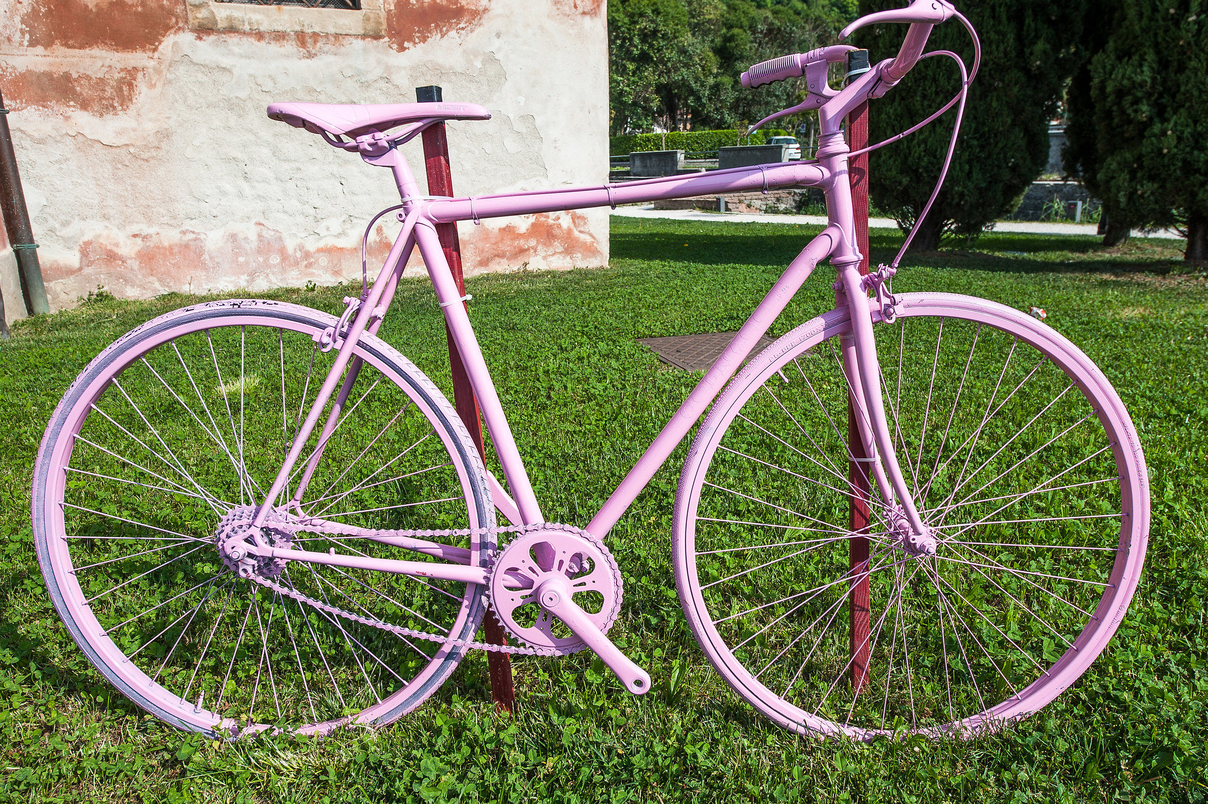 La bicicletta "rosa"
