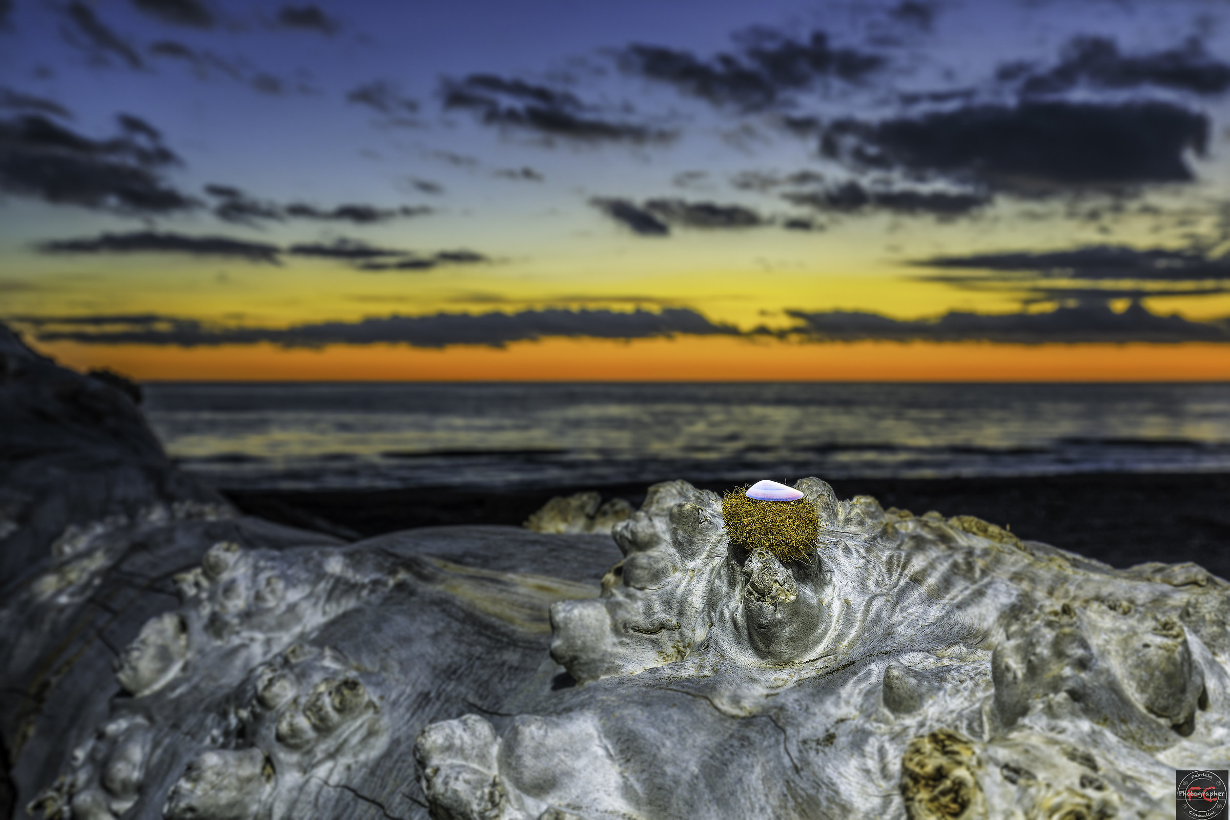 Still life at sunset