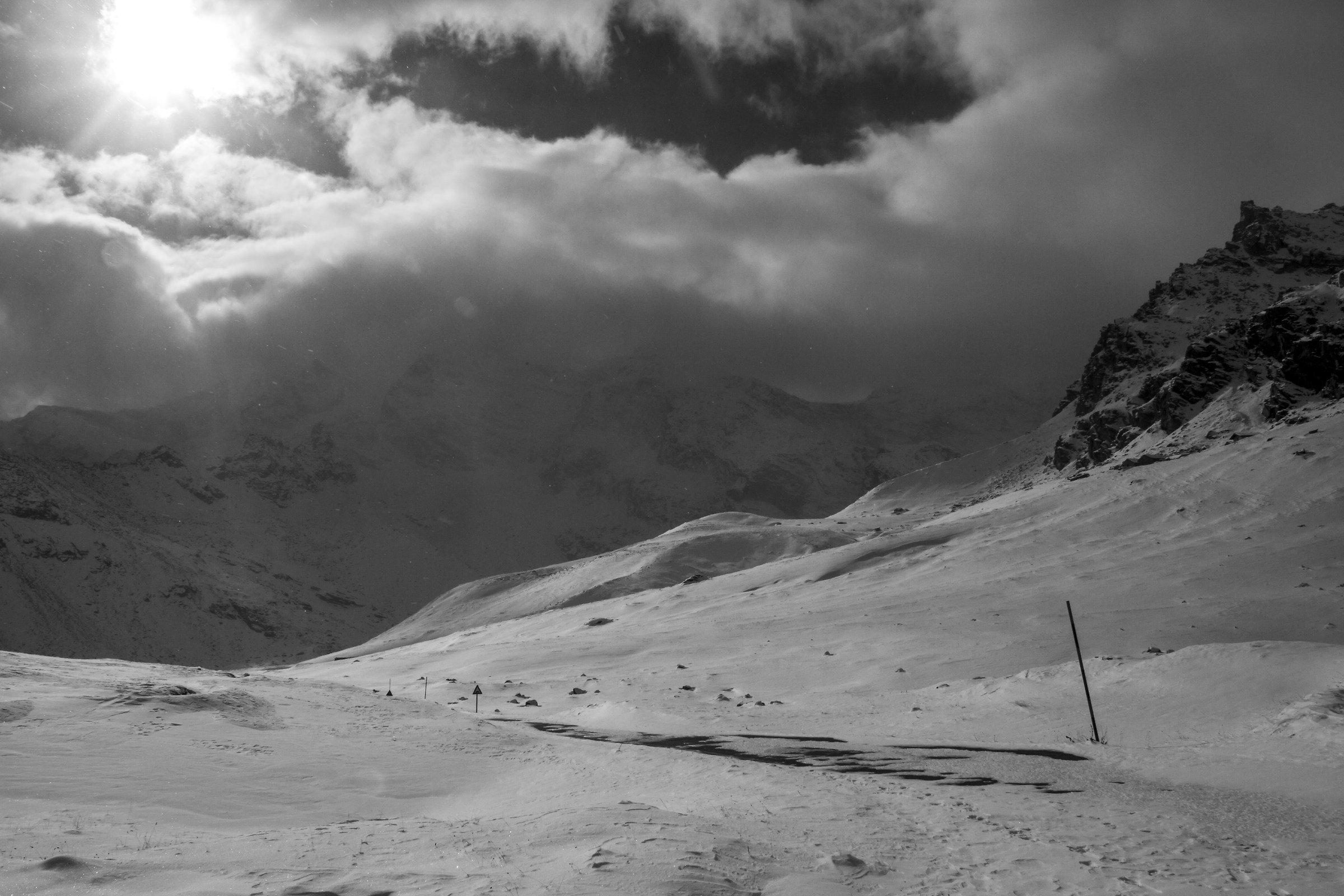 evidence of black and white