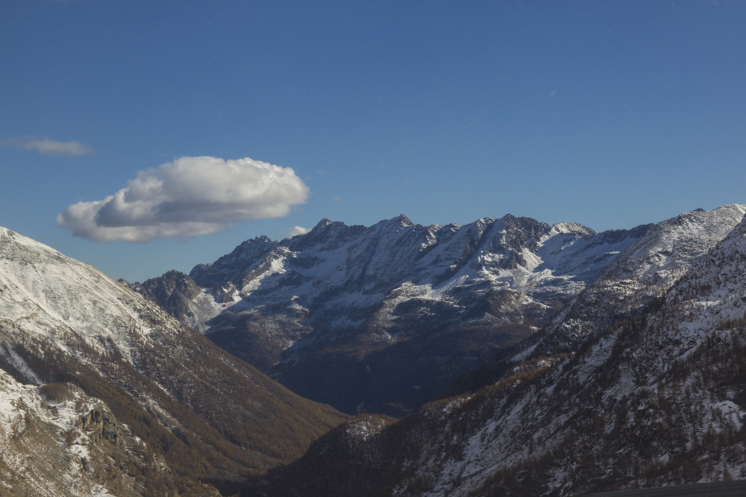 look beyond the icy wind