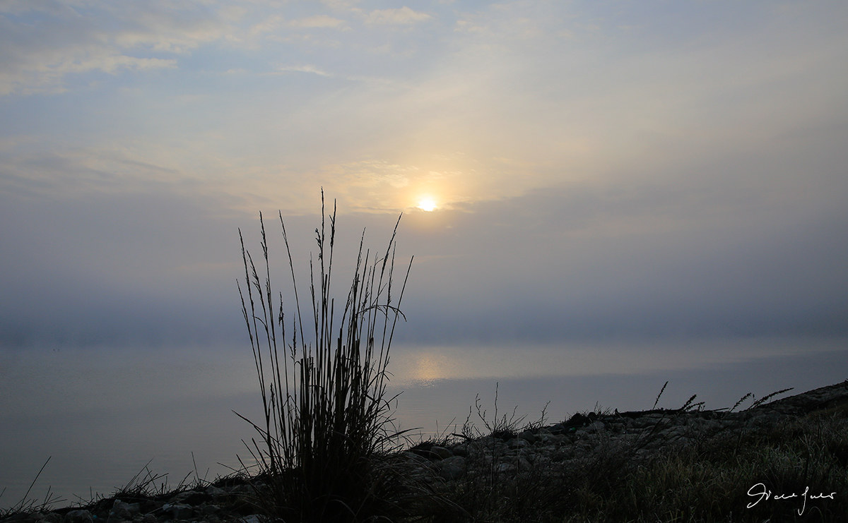 First light and fog on the Po delta